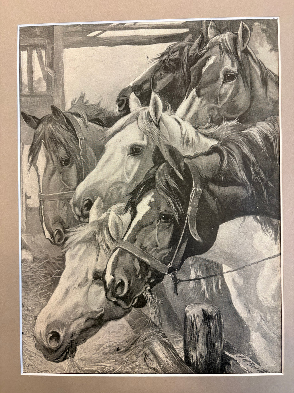 1906 Antique print, horses, FW Burton, oak framed artwork