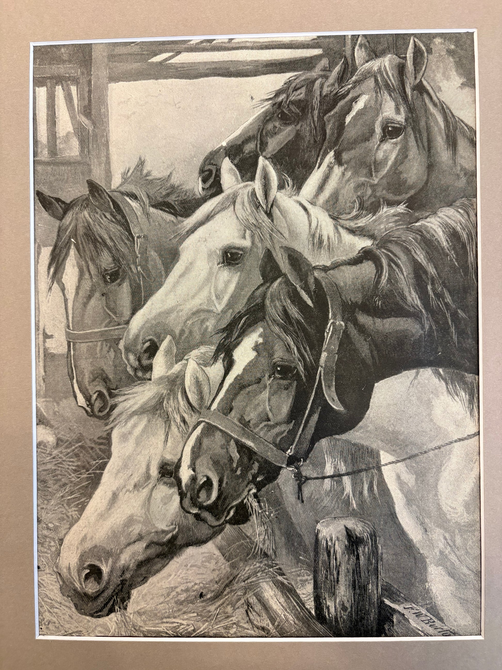 1906 Antique print, horses, FW Burton, oak framed artwork