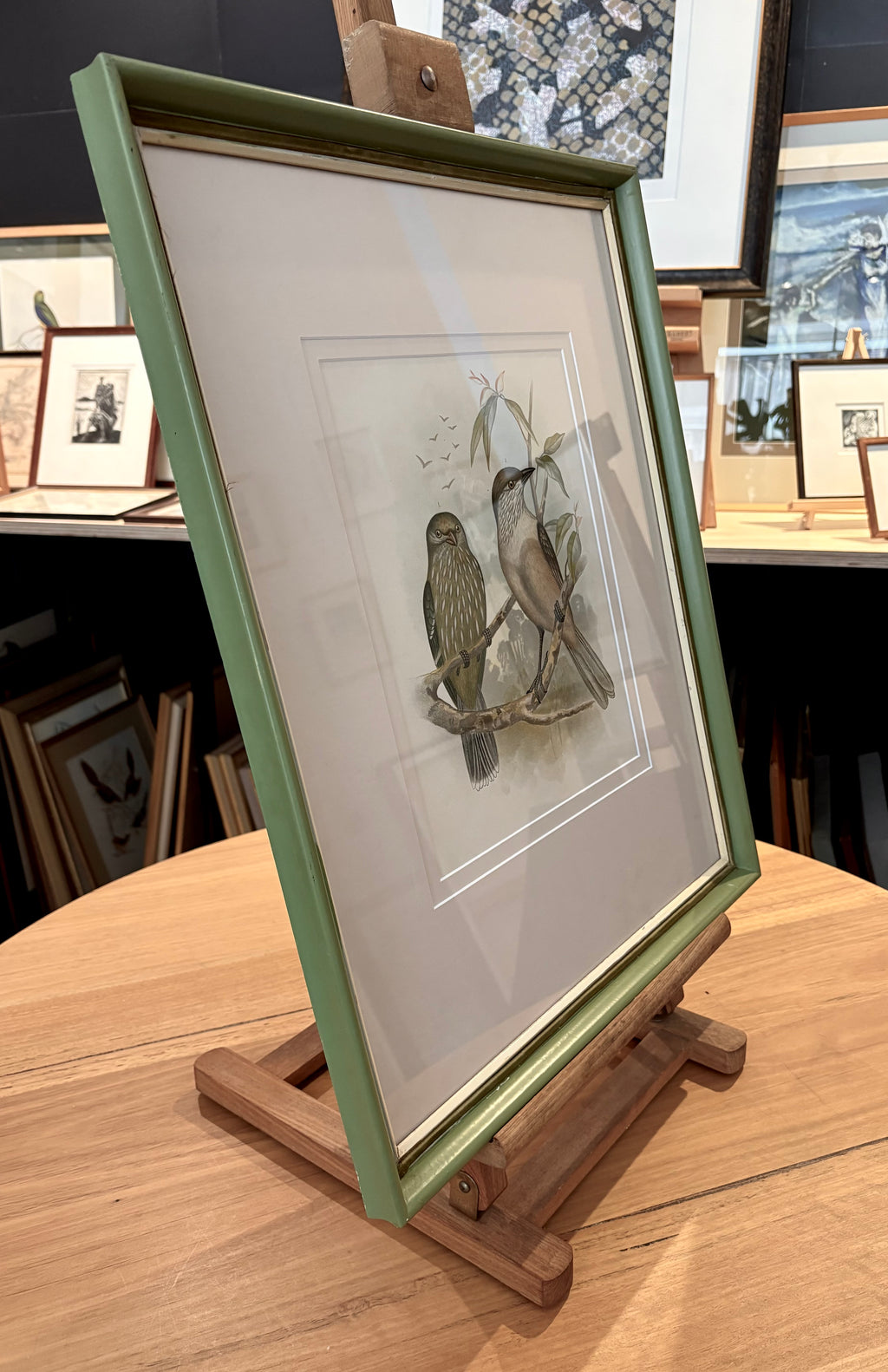 1891 Antique lithographic print, Gracius Broinowski, Bowerbird, Australian birds, framed art