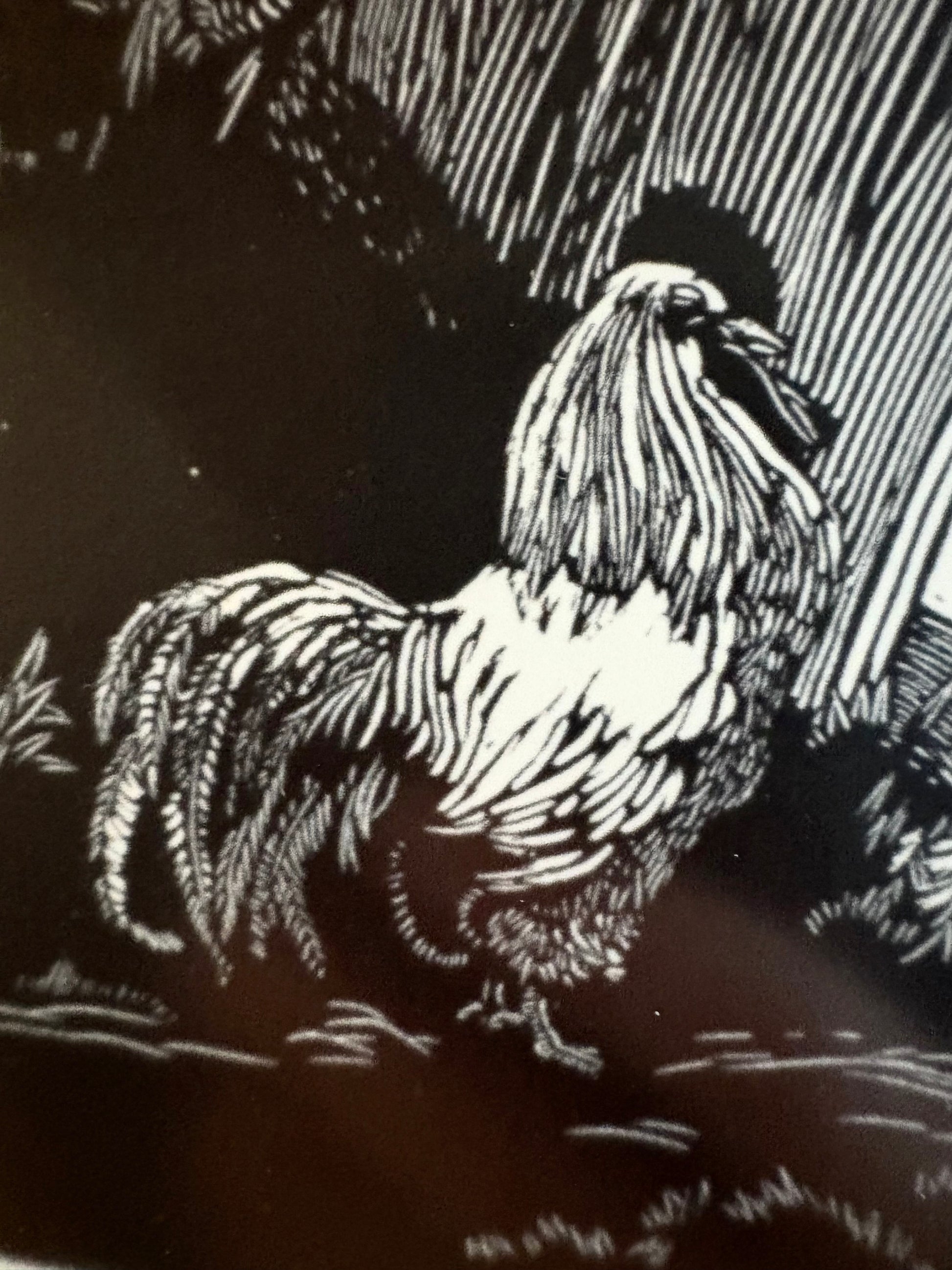 Original Helen Ogilvie woodblock print "The White Rooster", framed art, farmyard birds, Australian artwork