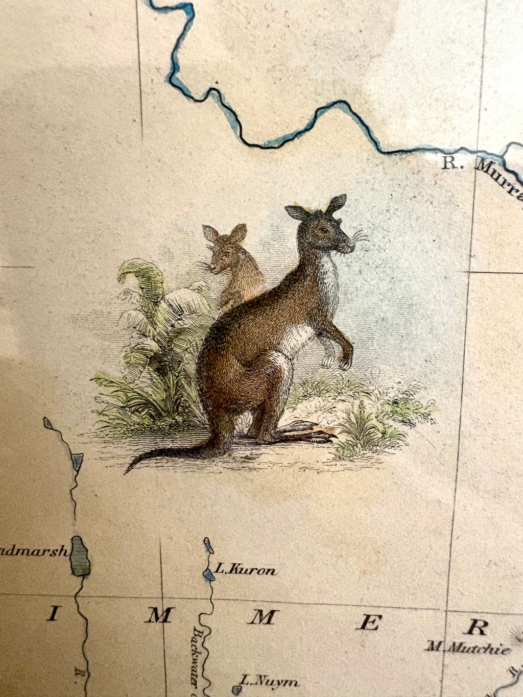 1851 antique map of Victoria, engraved, hand coloured, Tallis, vintage framed art