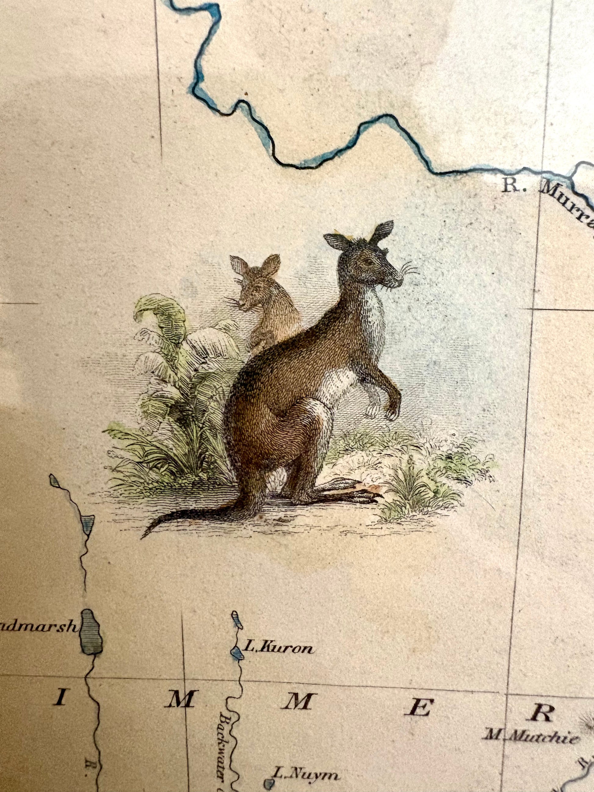 1851 antique map of Victoria, engraved, hand coloured, Tallis, vintage framed art