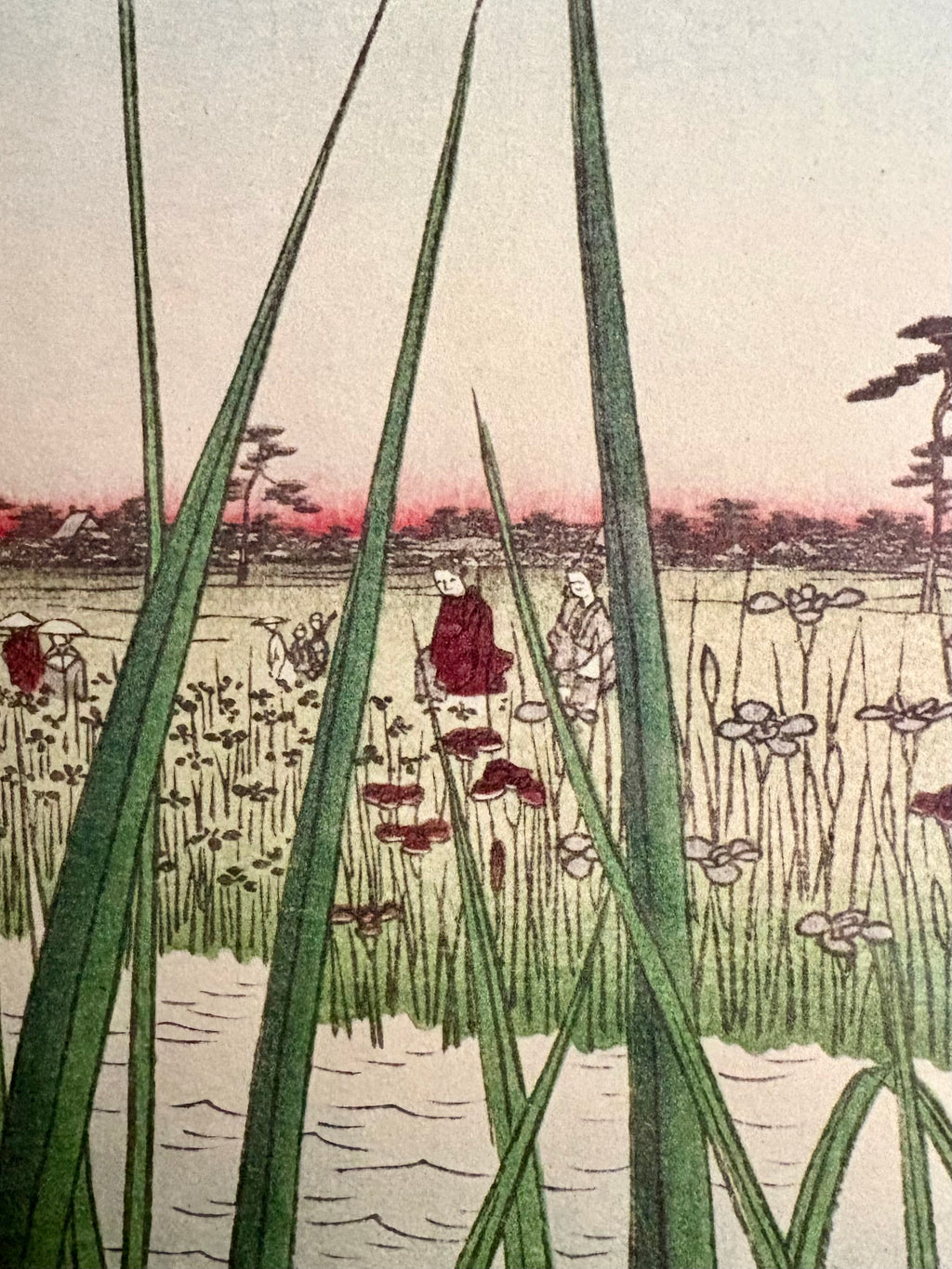 1978 Japanese print after Hiroshige’s woodblock artwork, framed vintage wall art, Iris flower
