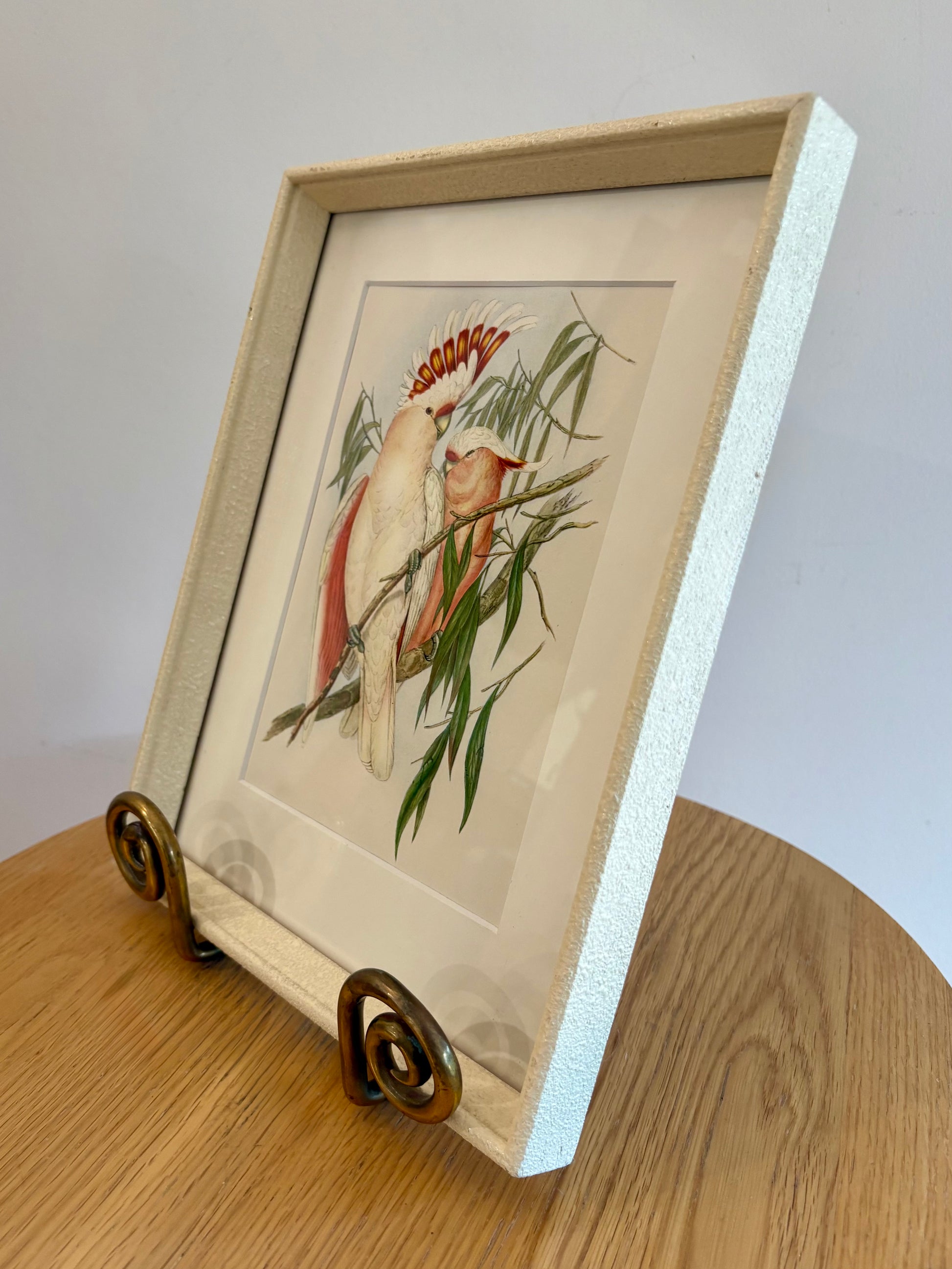 Miniature Gould "Birds of Australia" 1948 print, Cockatoo, vintage framed art