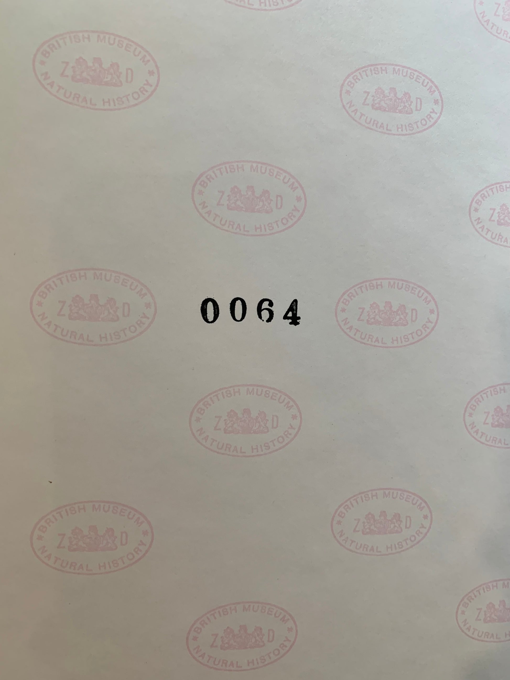 1989 Authentic limited Edition Gould print, Parrots, vintage art