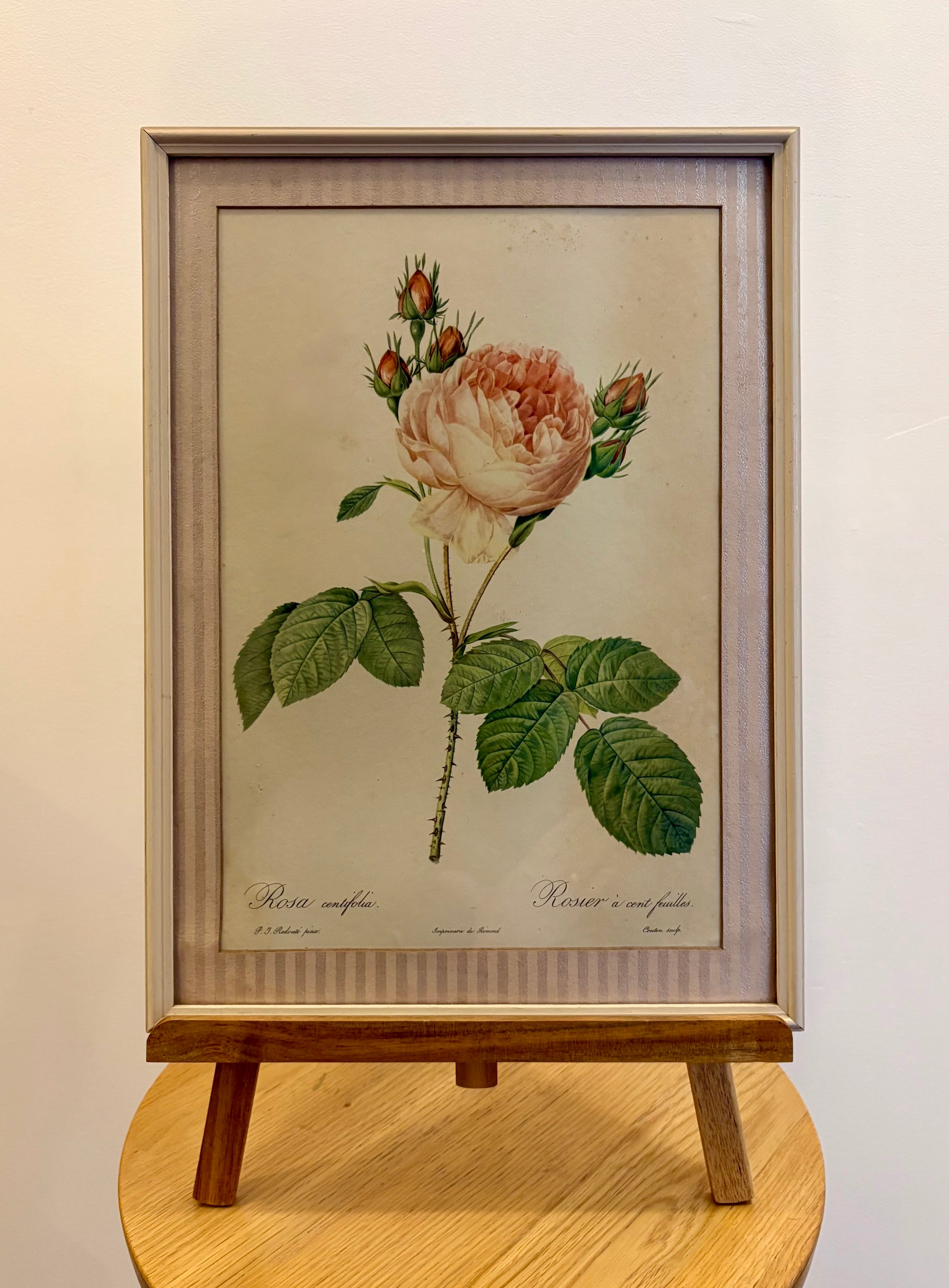 1950s framed print after Redoute, Roses, French art