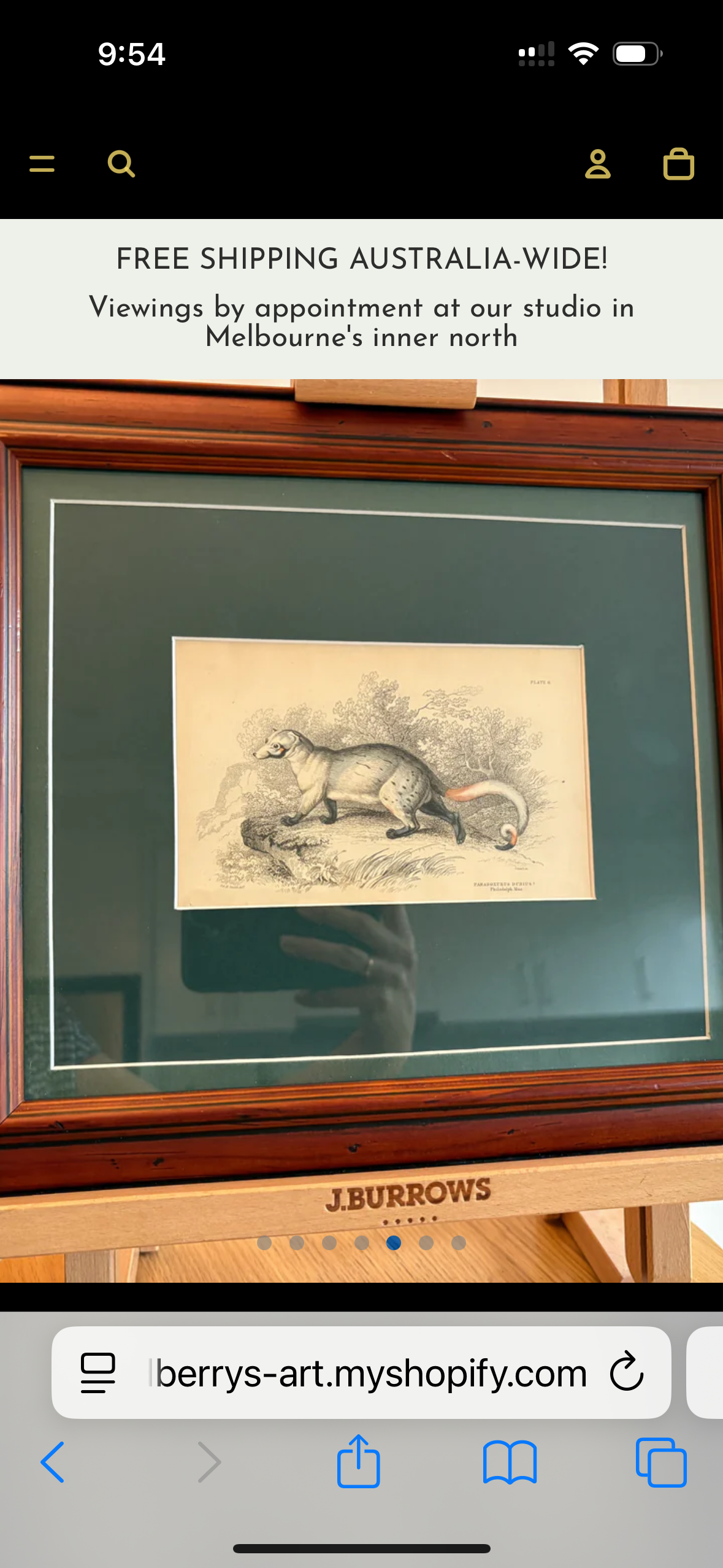 1830s Genuine antique, Palm Civet, engraving, hand coloured, framed original vintage wall art