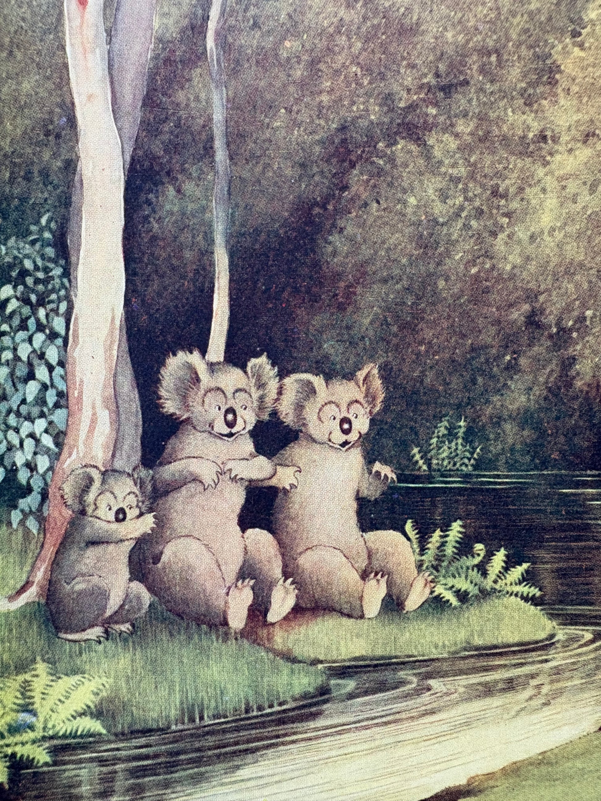1931 Authentic antique Ida Rentoul Outhwaite print "Fairyland", 1st Edition UK, koalas, elves