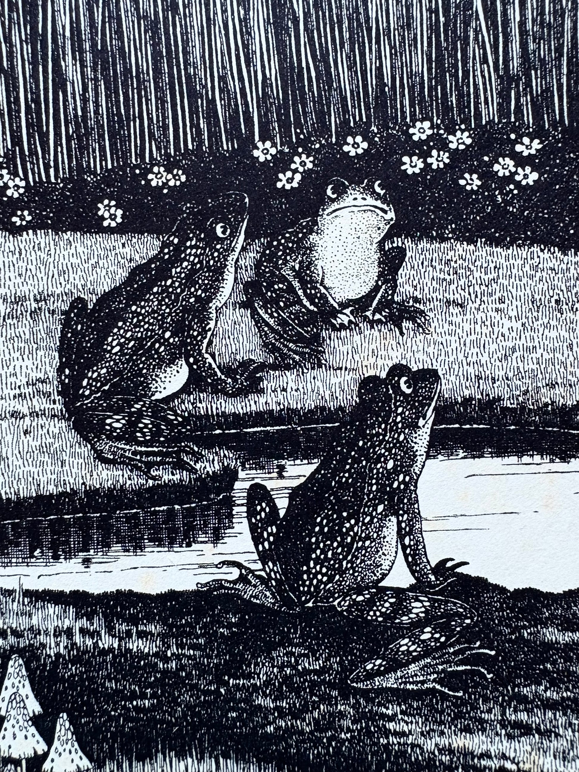 1931 Authentic antique Ida Rentoul Outhwaite print "Fairyland", 1st Edition UK, fairy, frogs, art deco