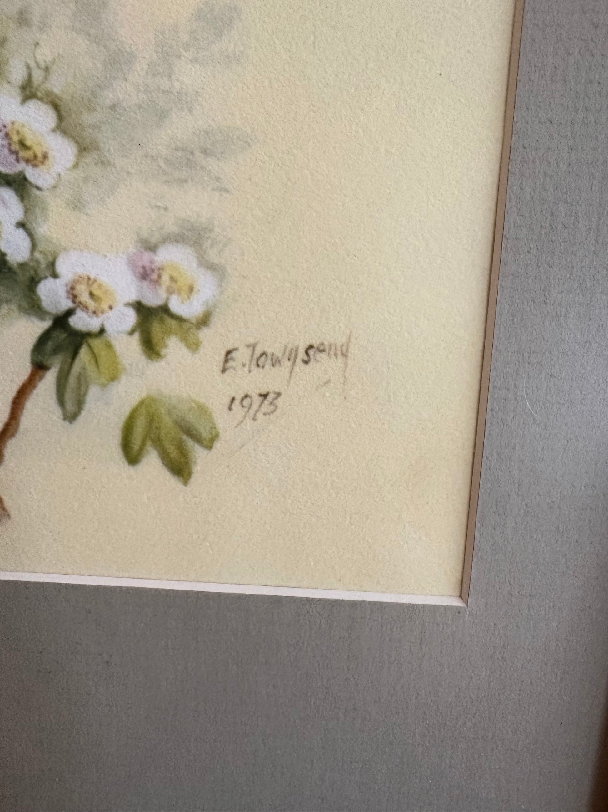 1975 Vintage limited edition print, Royal Worcester birds, framed art