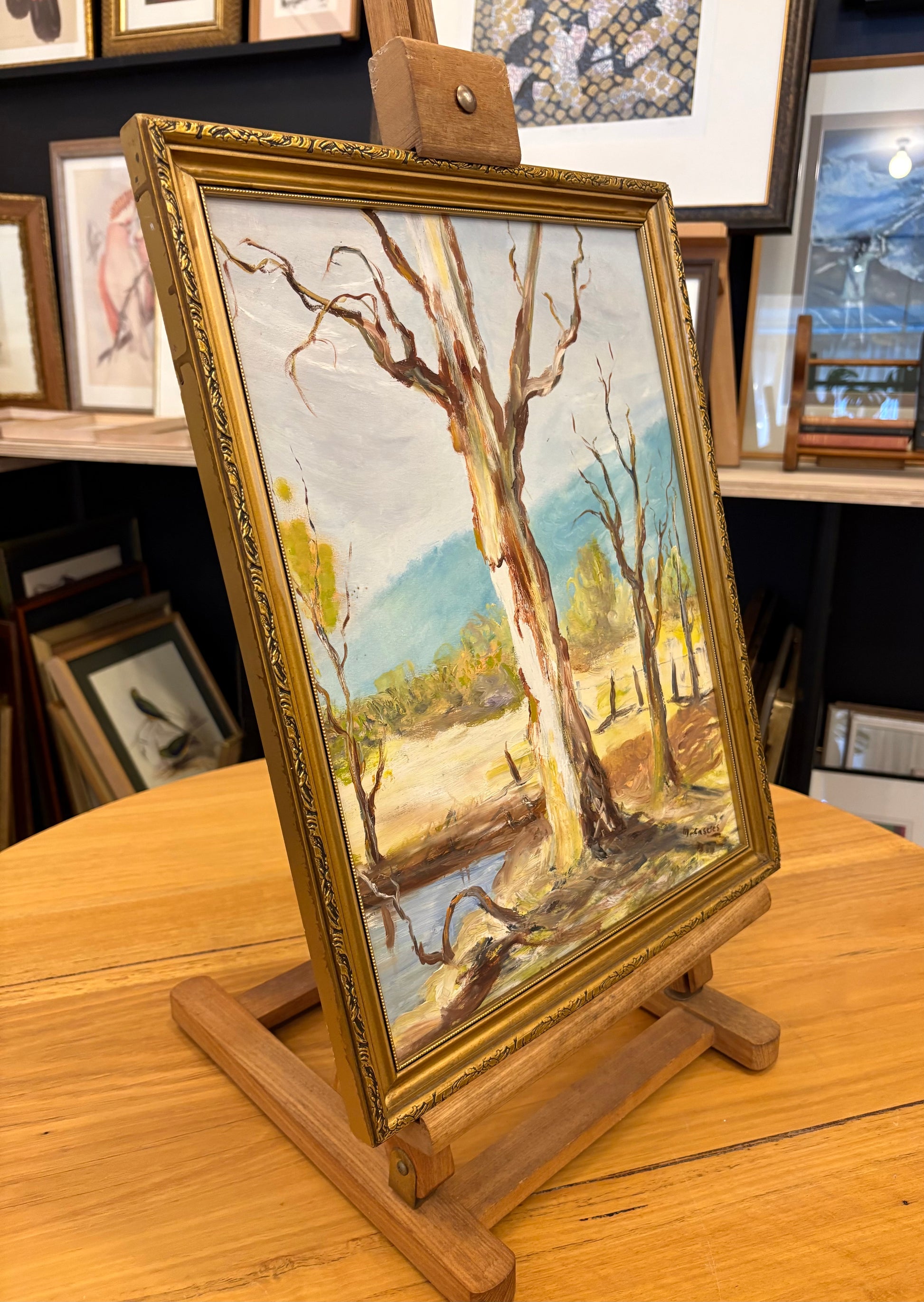 Mid Century original oil painting, River Gums, Australian landscape artwork