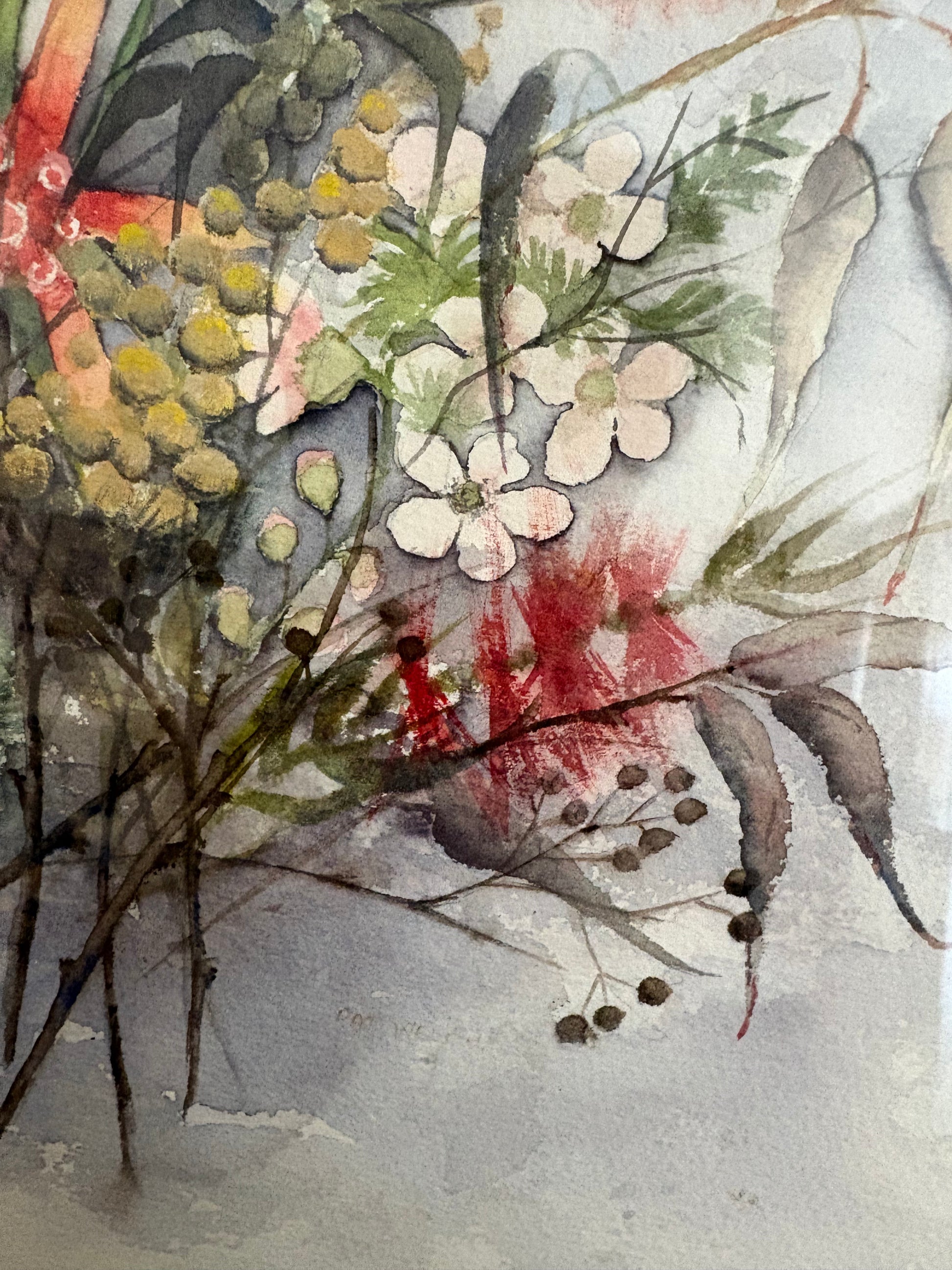 Original watercolour painting, native Australian flowers, Huon Pine frame, vintage