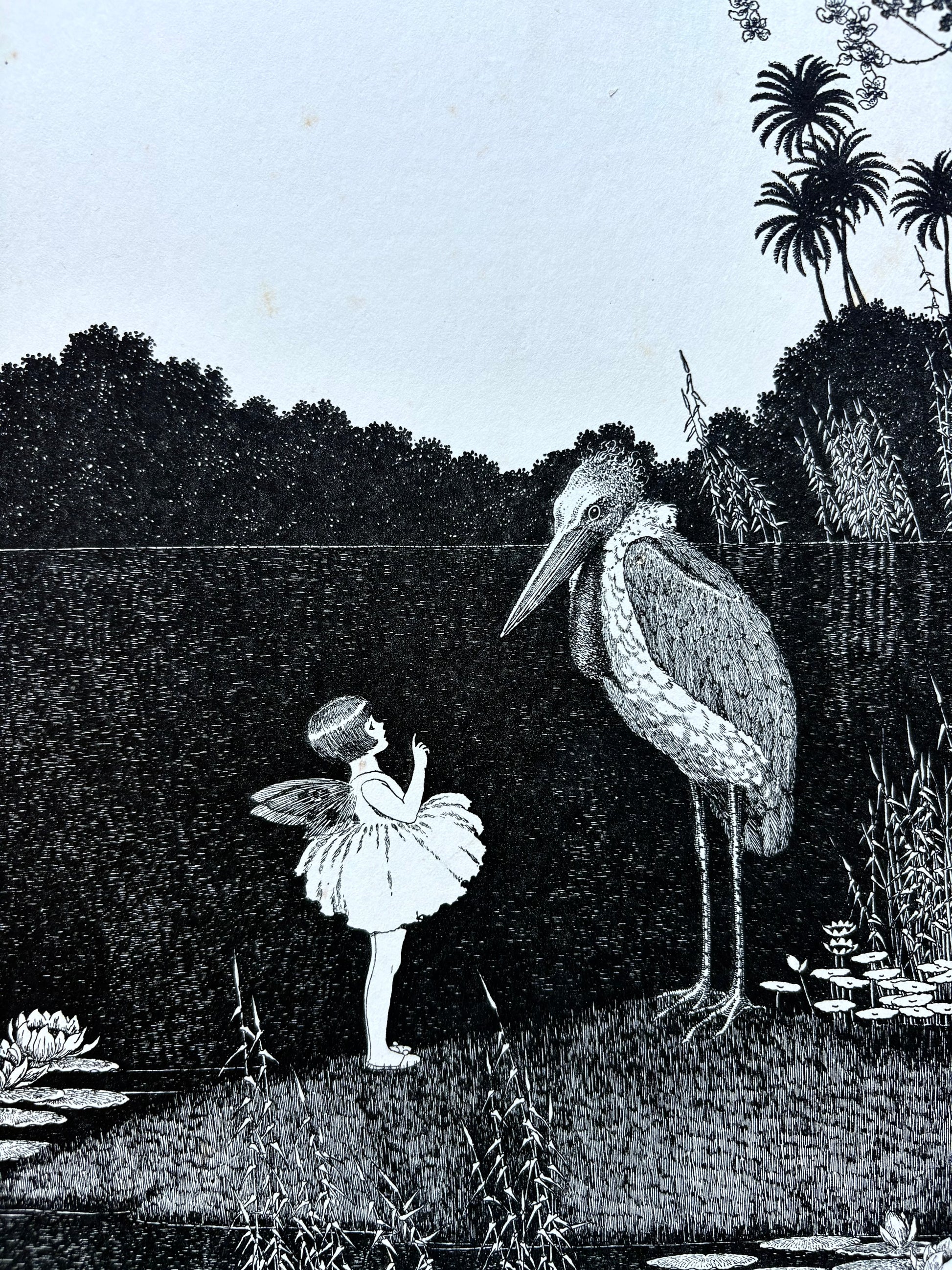 1931 Authentic antique Ida Rentoul Outhwaite print "Fairyland", 1st Edition UK,fairy, bird, art deco
