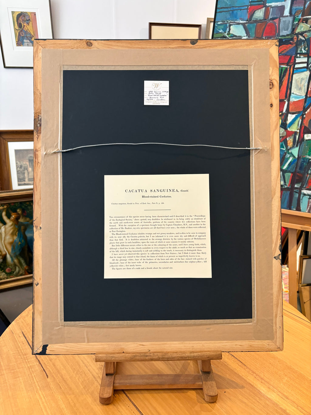 1989 Authentic limited edition 64/500 Gould print, Cockatoo, vintage art