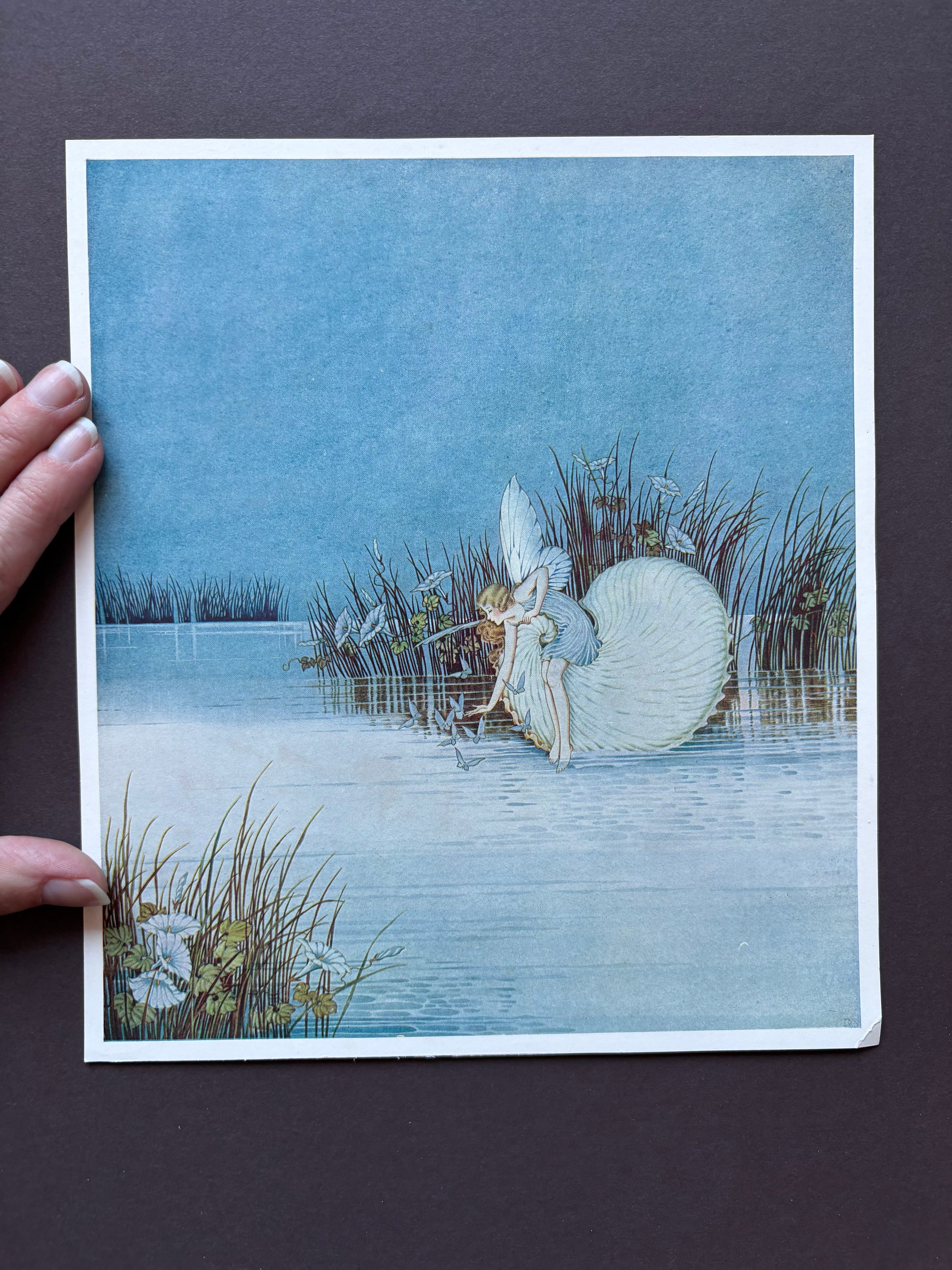 1931 Authentic antique Ida Rentoul Outhwaite print "Fairyland", 1st Edition UK, shell, fairy