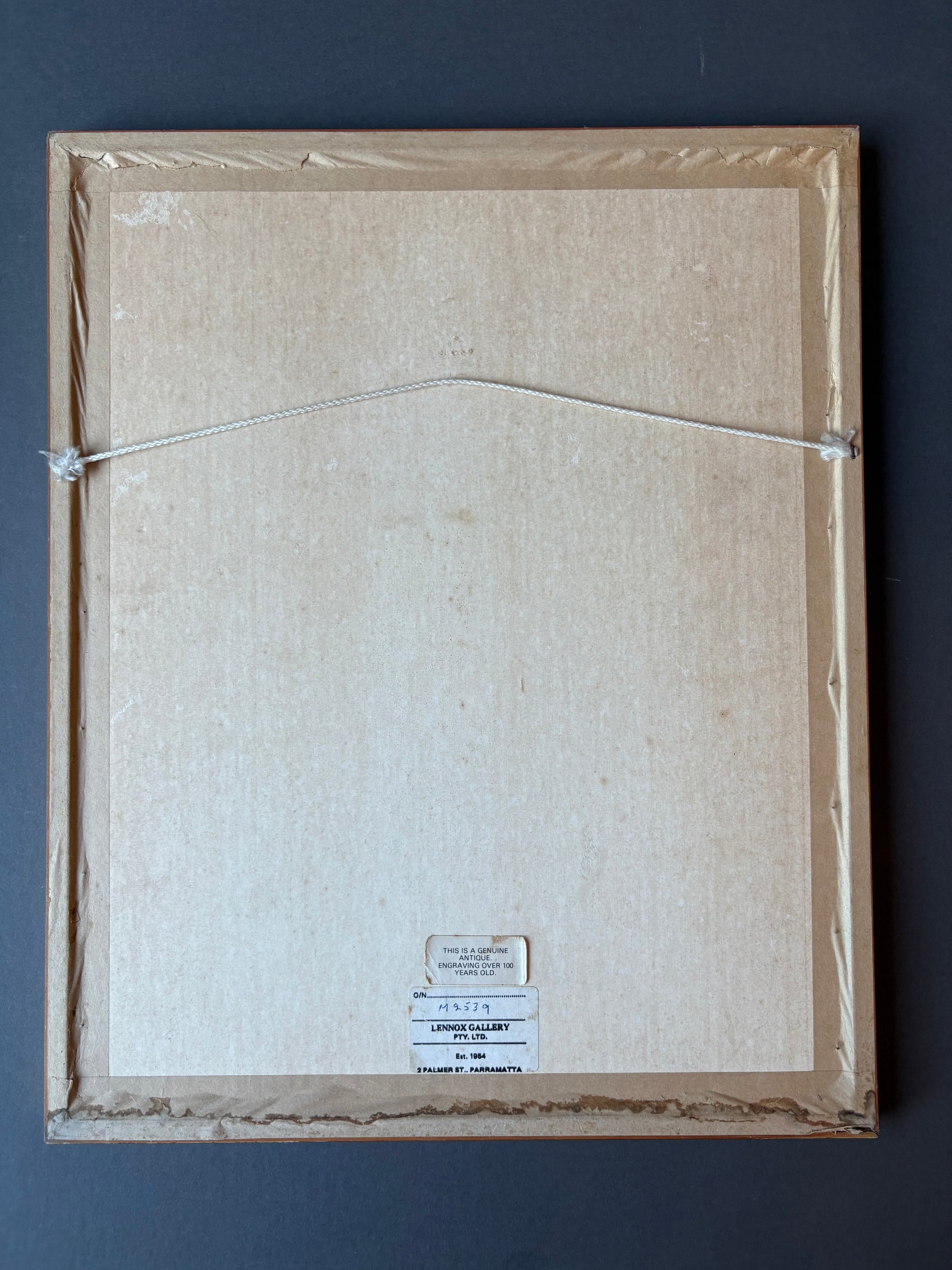 Antique wood engraving, hand coloured, pink flowers, framed botanical art