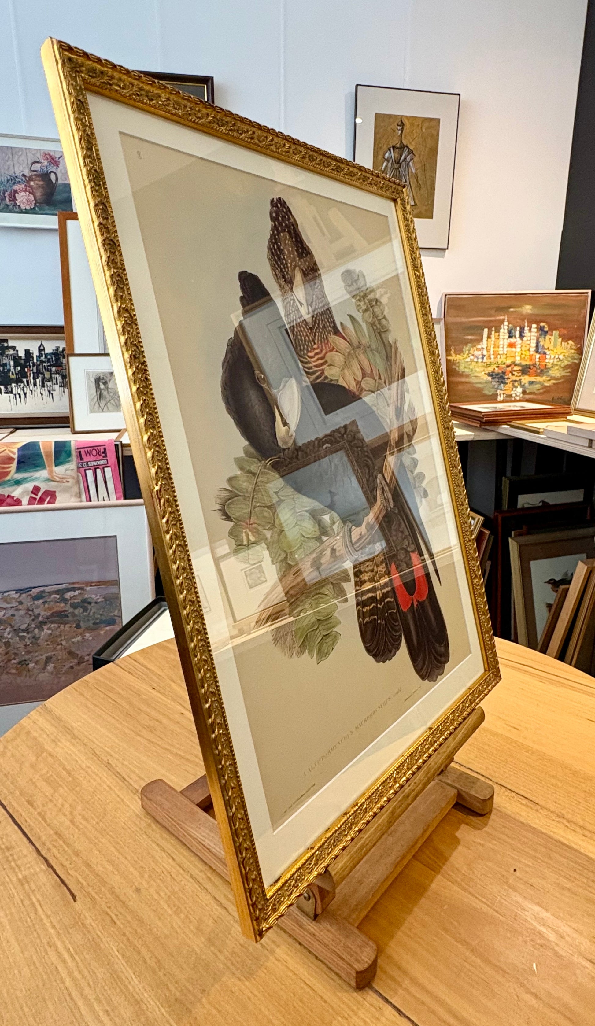 1989 Authentic limited Edition Gould print, Black Cockatoo, vintage art