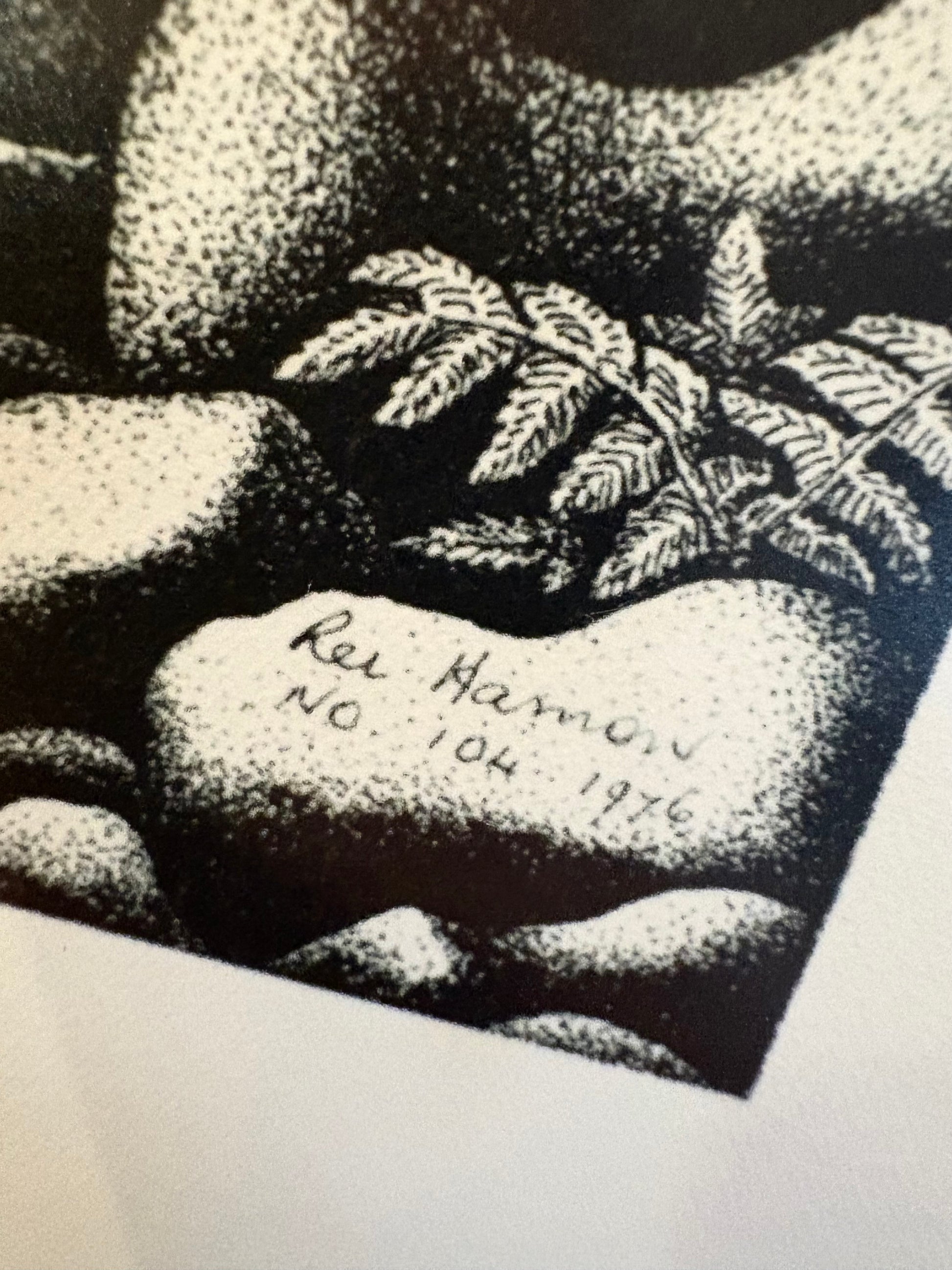 1977 Rei Hamon lithographic print, "Forest Prince (Kauri)", New Zealand, framed art