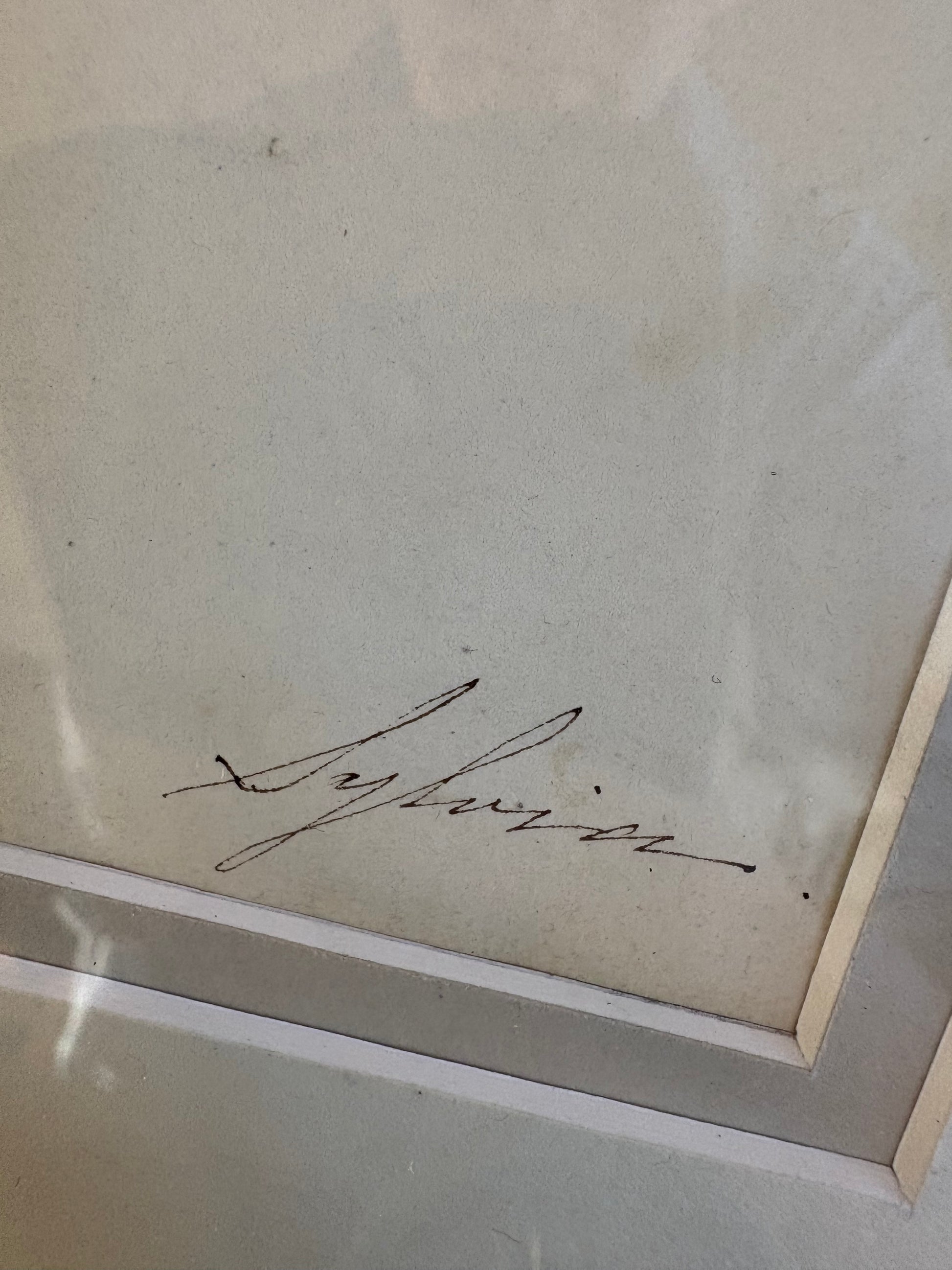 1830's Georgian original watercolour painting, Bird of Paradise, framed antique art