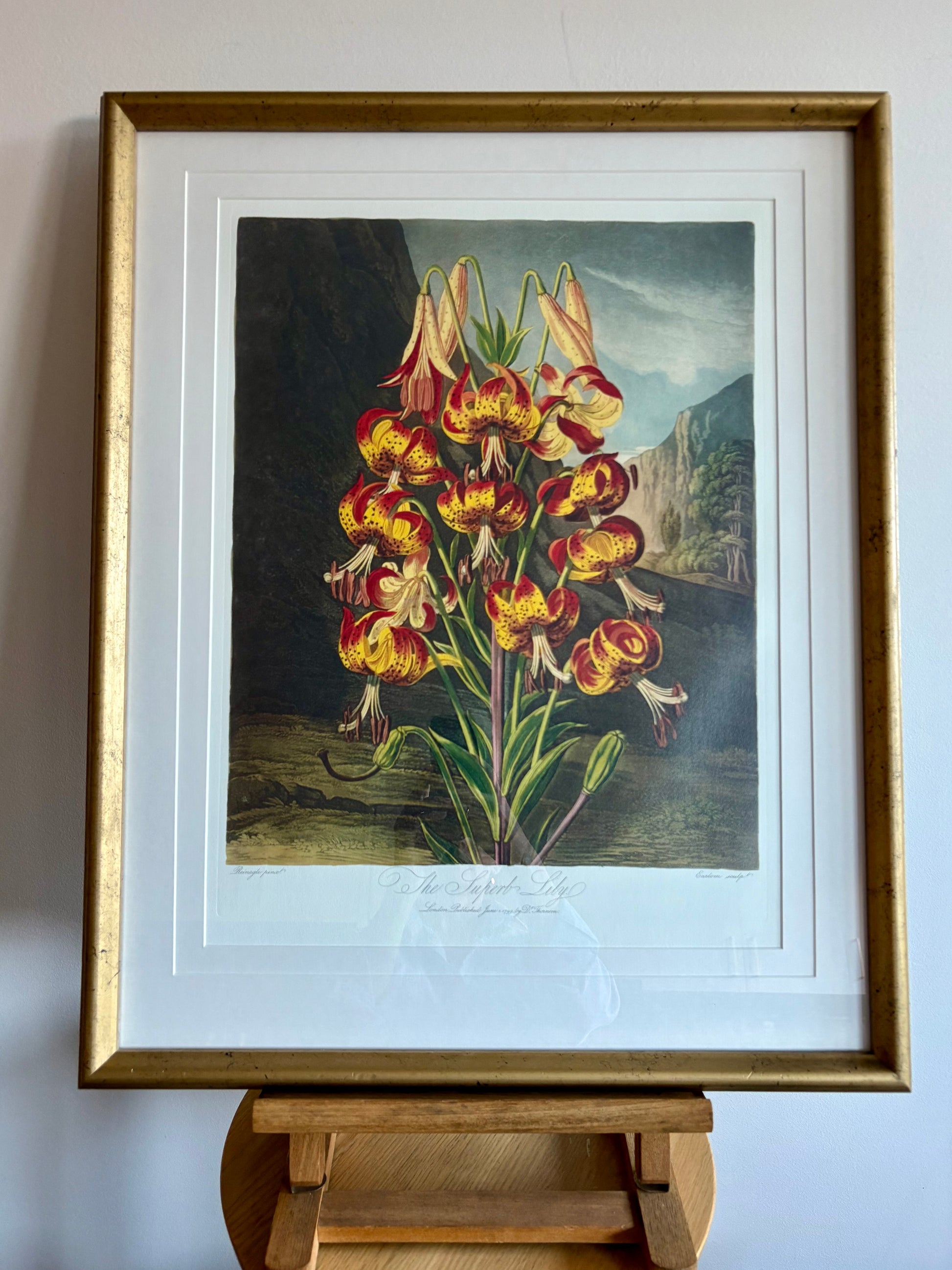 Framed large Lily print, Temple of Flora, Robert Thornton, quality framed art