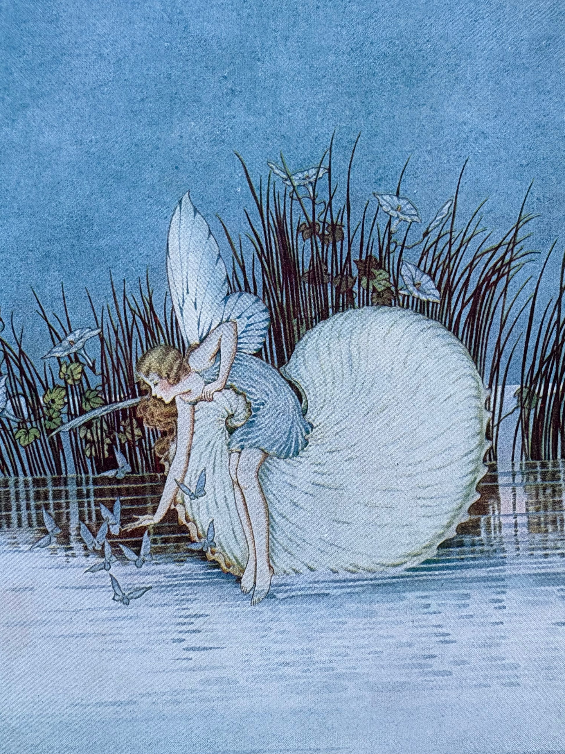 1931 Authentic antique Ida Rentoul Outhwaite print "Fairyland", 1st Edition UK, shell, fairy