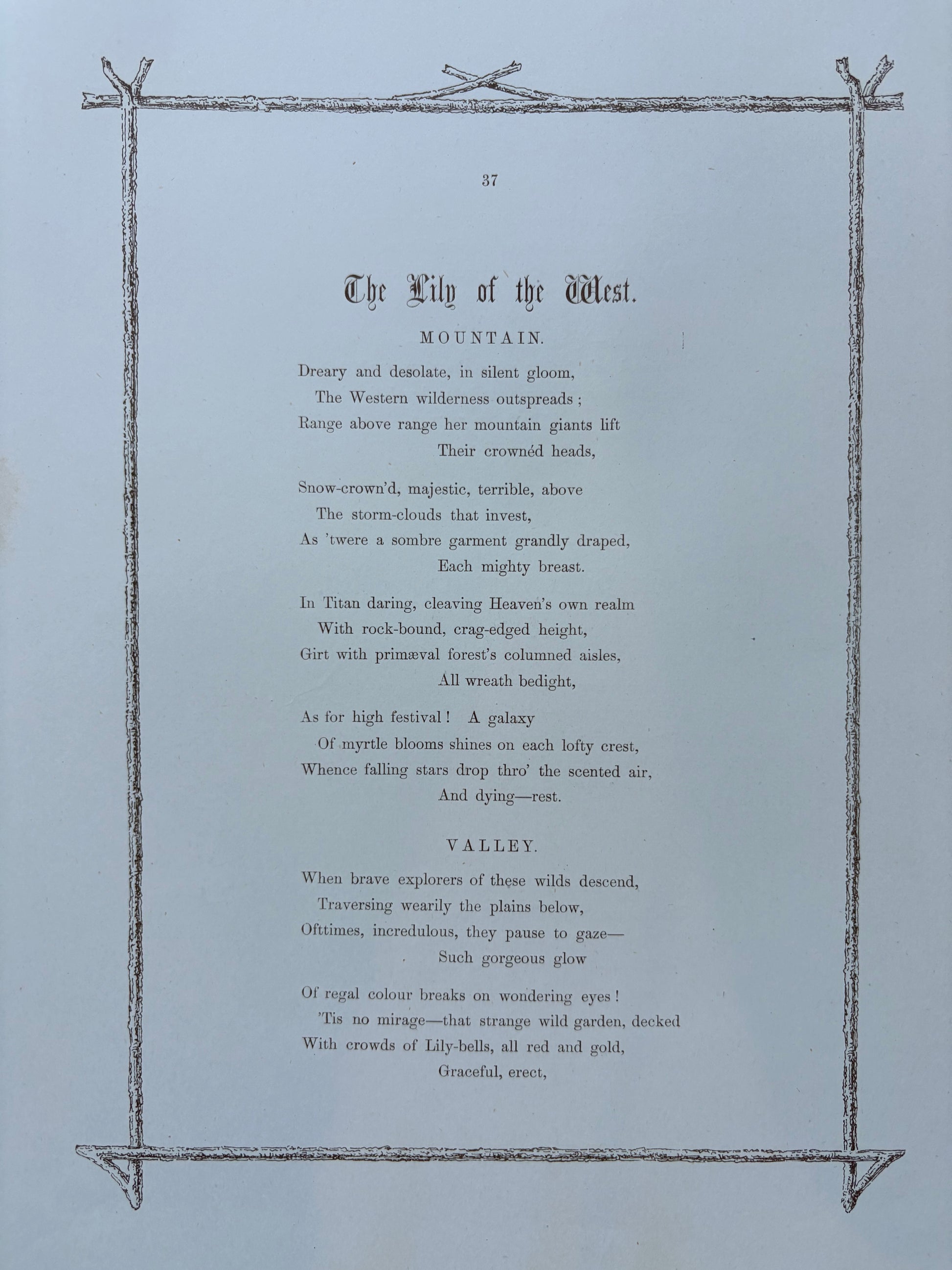 1891 Antique chromolithograph, Louisa A Meredith, Australian, botanical art, Lily