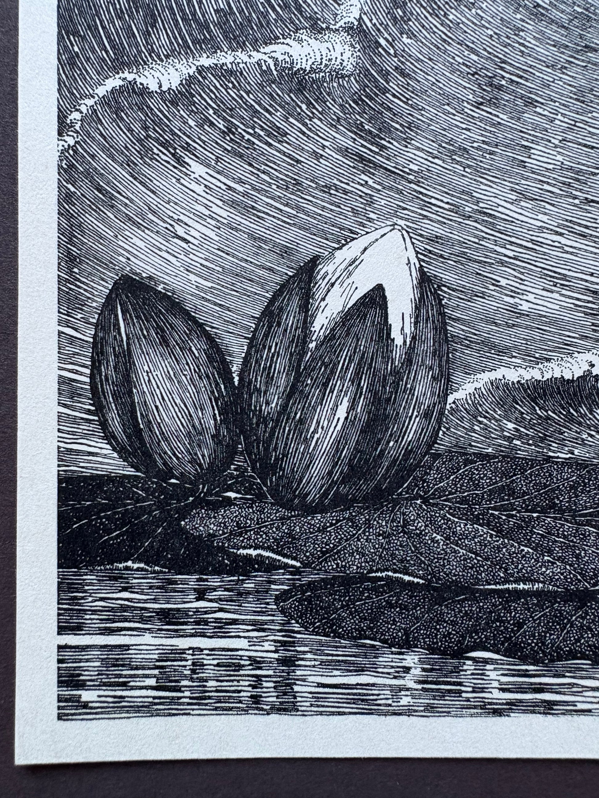 1931 Authentic antique Ida Rentoul Outhwaite print "Fairyland", 1st Edition UK, art deco, fairy