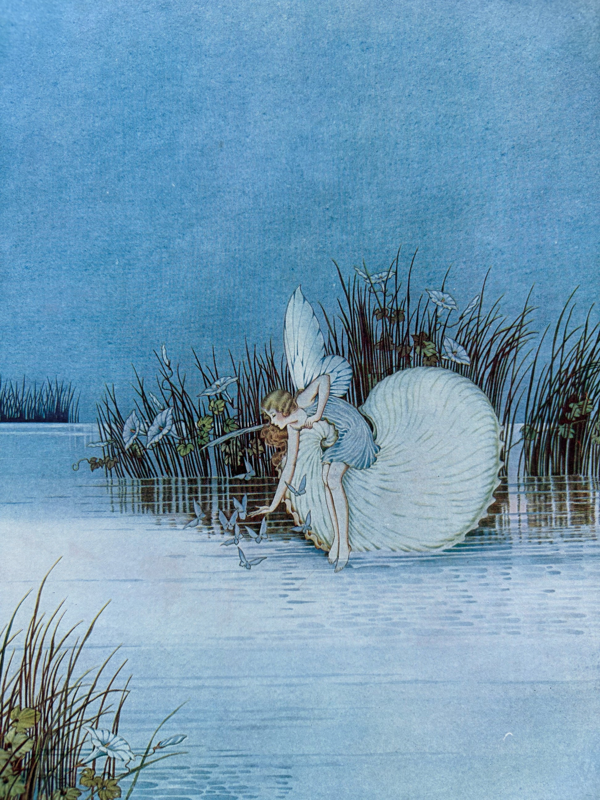 1931 Authentic antique Ida Rentoul Outhwaite print "Fairyland", 1st Edition UK, shell, fairy