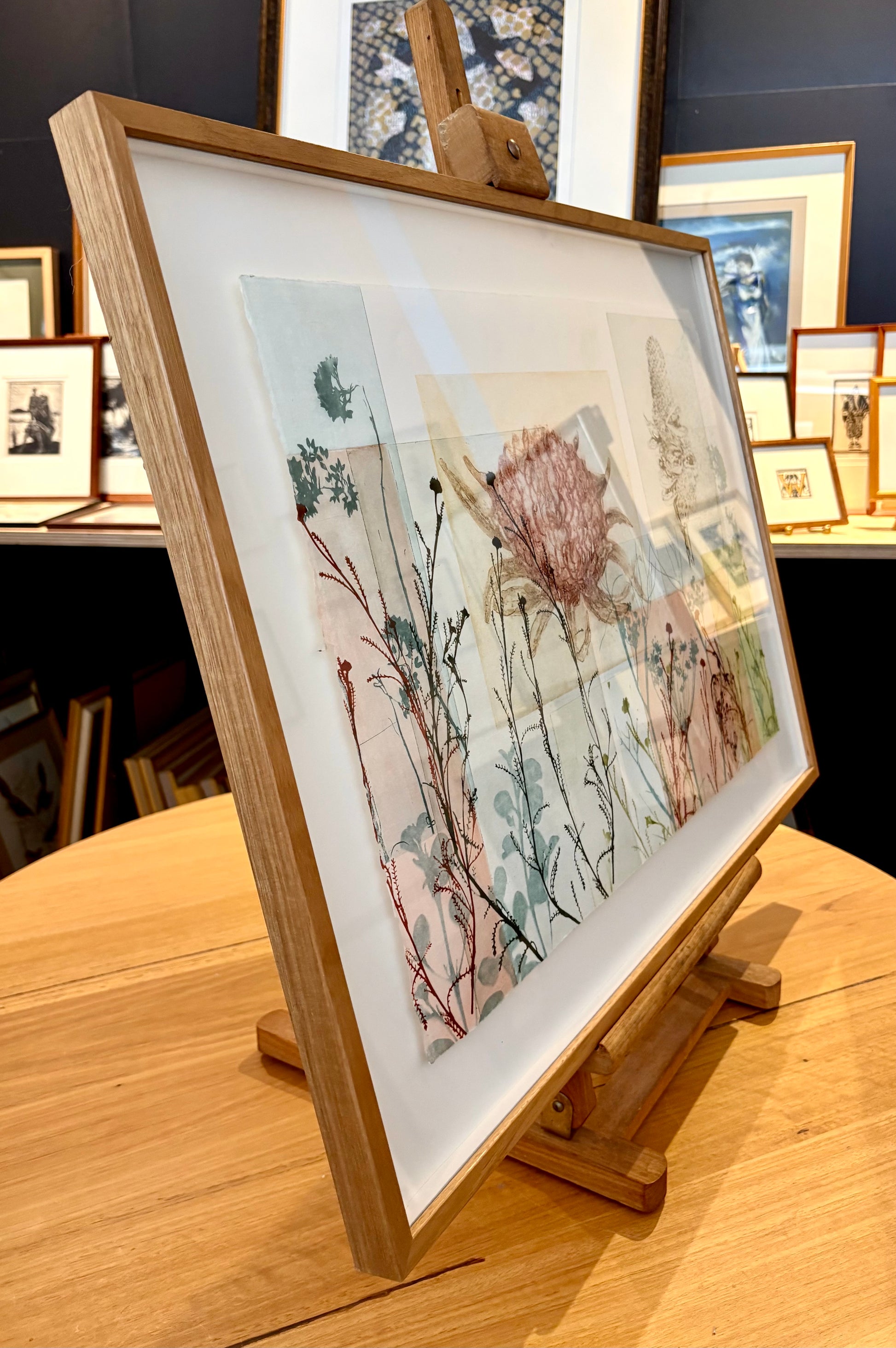 Original Trudy Rice botanical artwork, “Banksias”, signed, framed