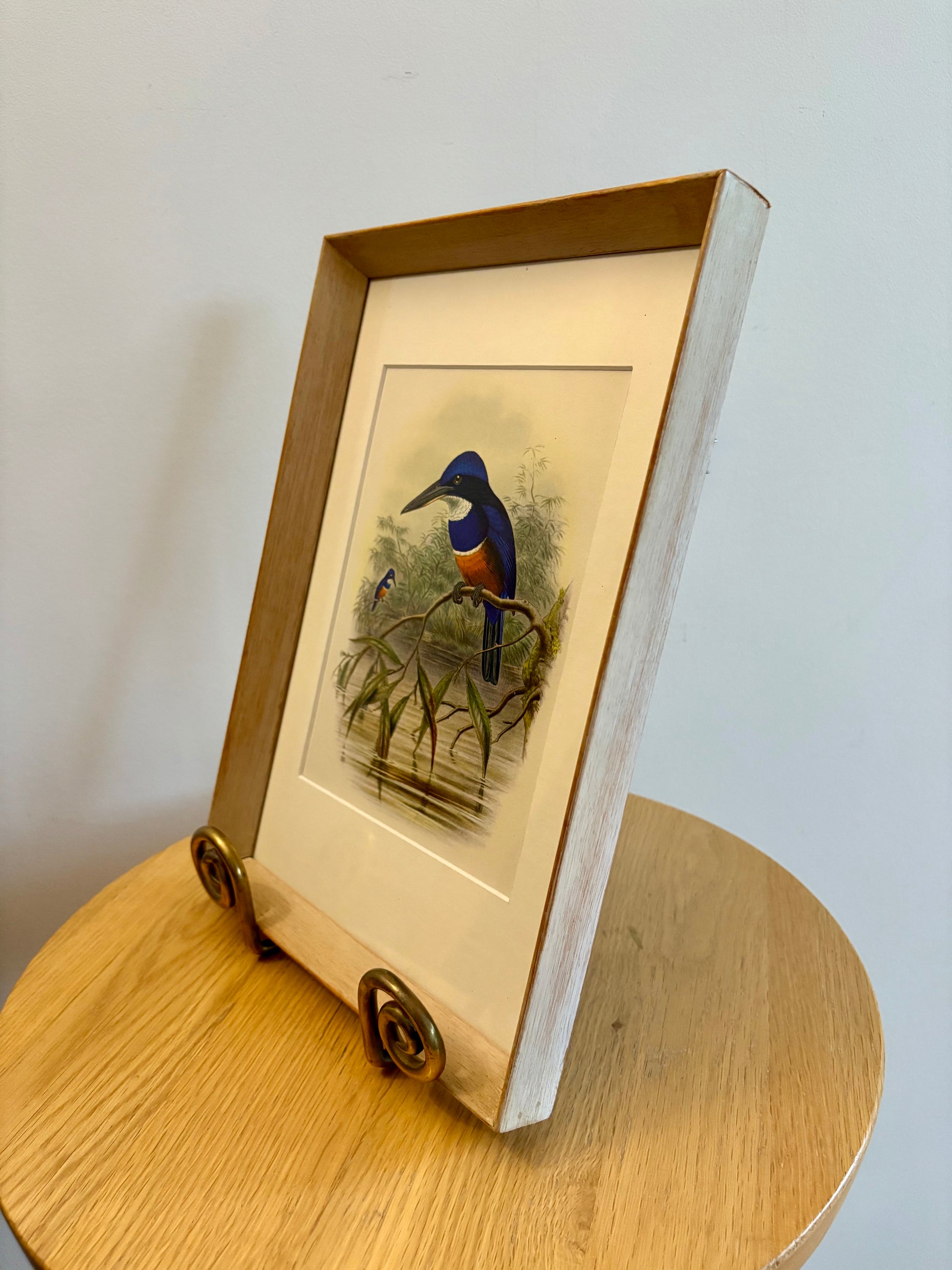 Miniature Gould "Birds of Australia" 1948 print of Kingfisher, vintage framed art