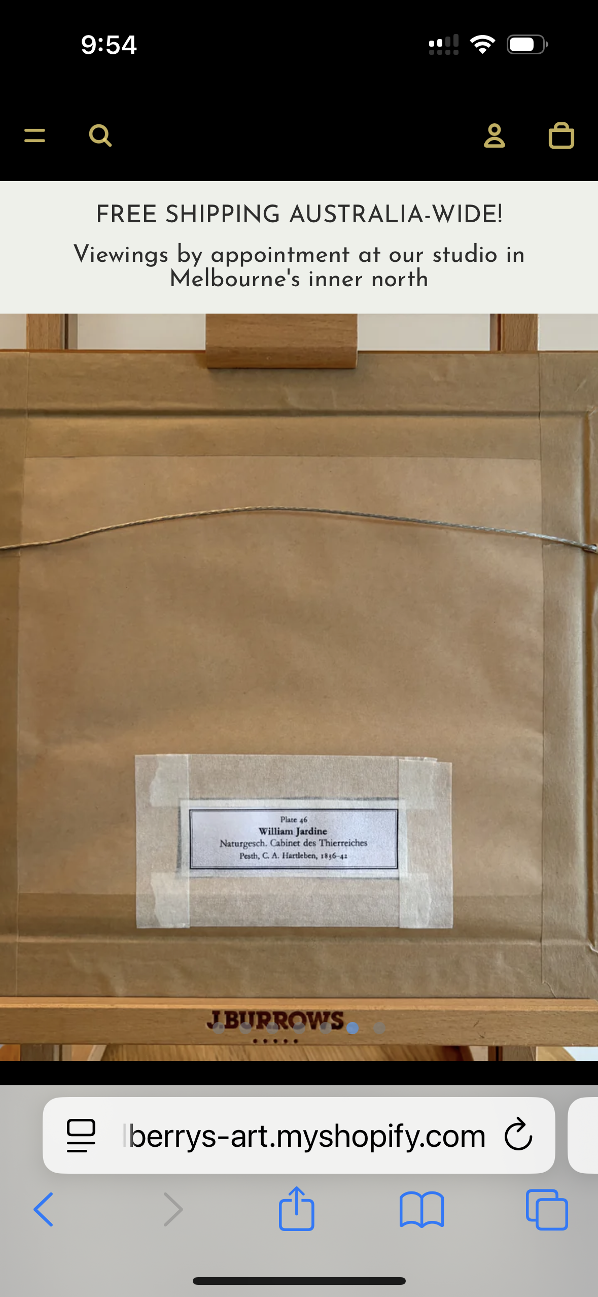 1830s Genuine antique, Palm Civet, engraving, hand coloured, framed original vintage wall art