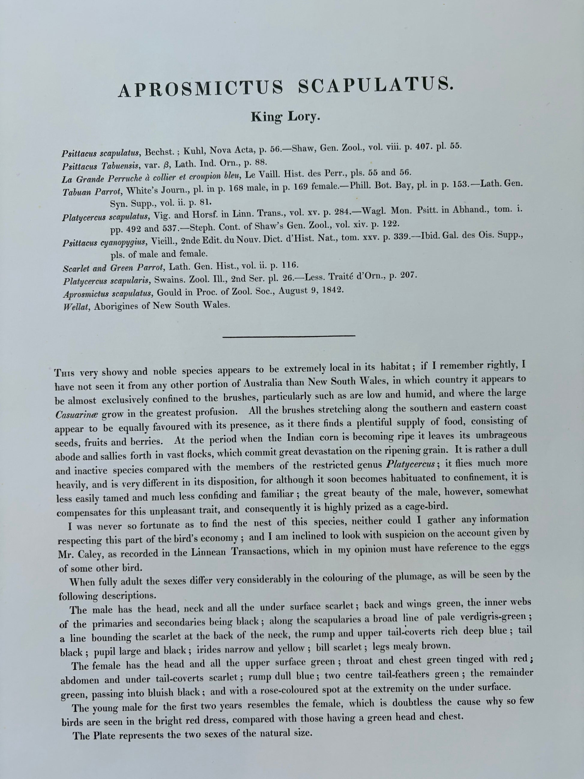 1989 Authentic limited Edition Gould print, Parrots, vintage art