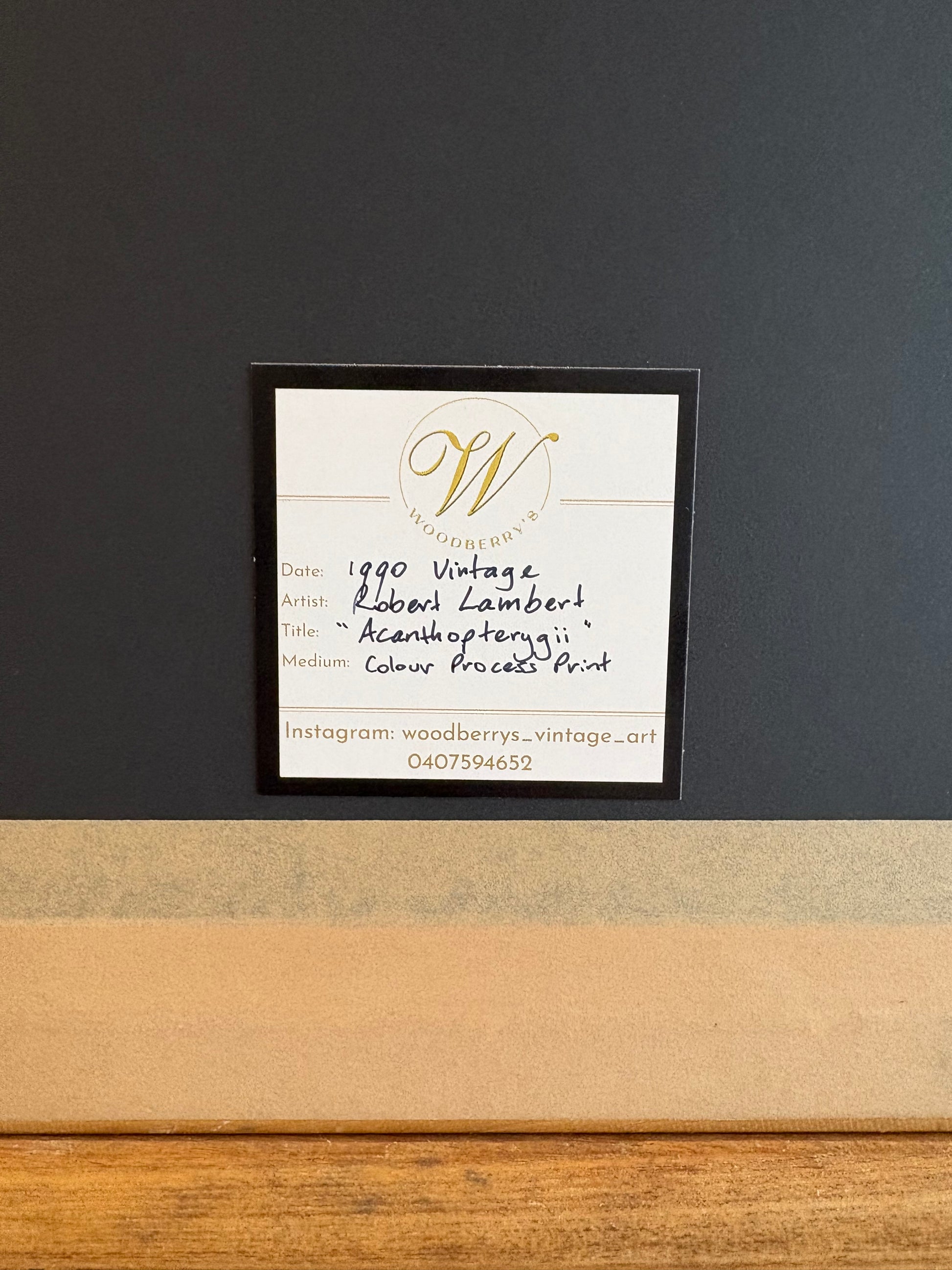 Vintage print, colourful parrot fish, framed wall art, vintage fishing print