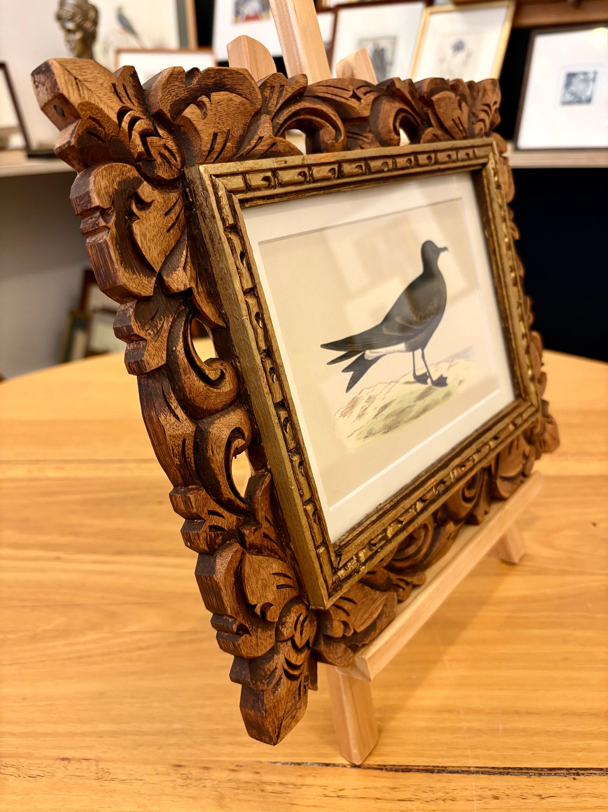 1860s Genuine antique, bird engraving, hand coloured, carved frame, original vintage art