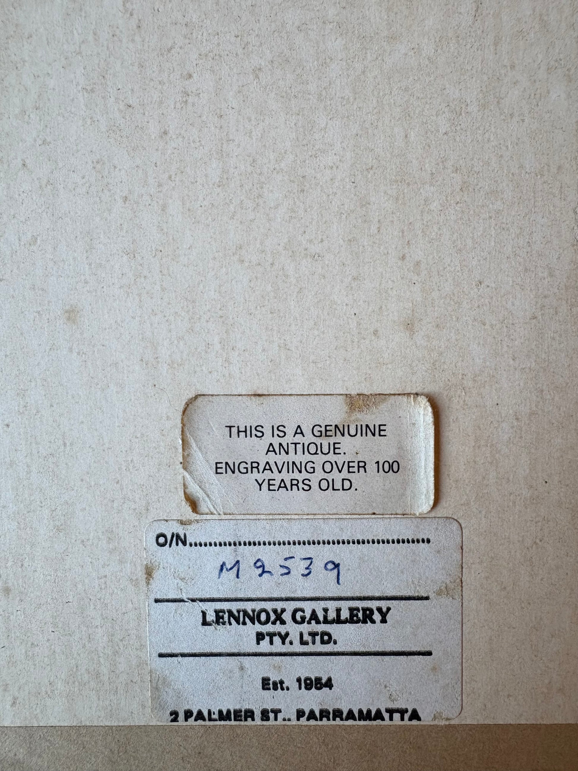 Antique wood engraving, hand coloured, pink flowers, framed botanical art