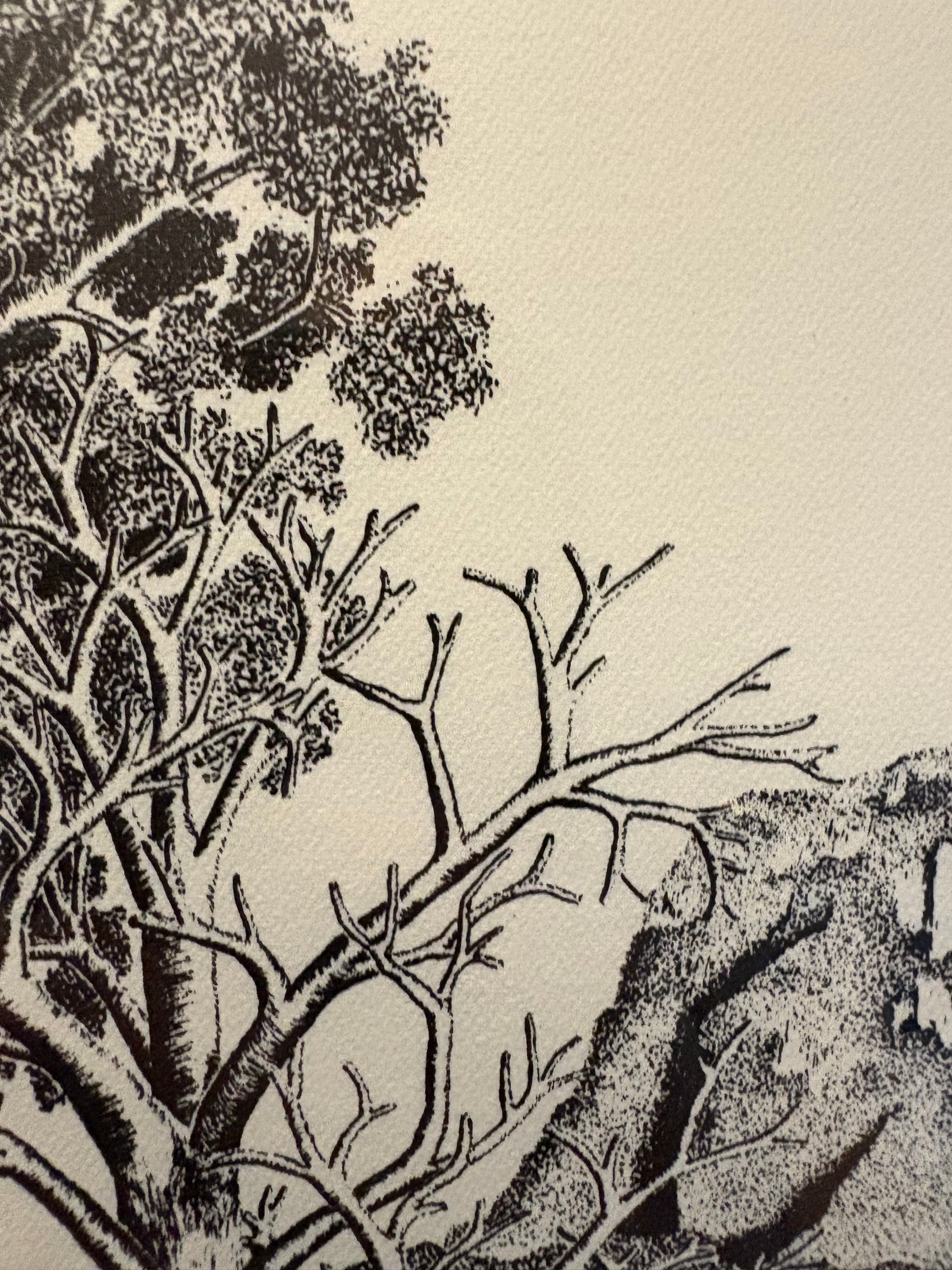 1977 Rei Hamon lithographic print, mountain, New Zealand, framed vintage art