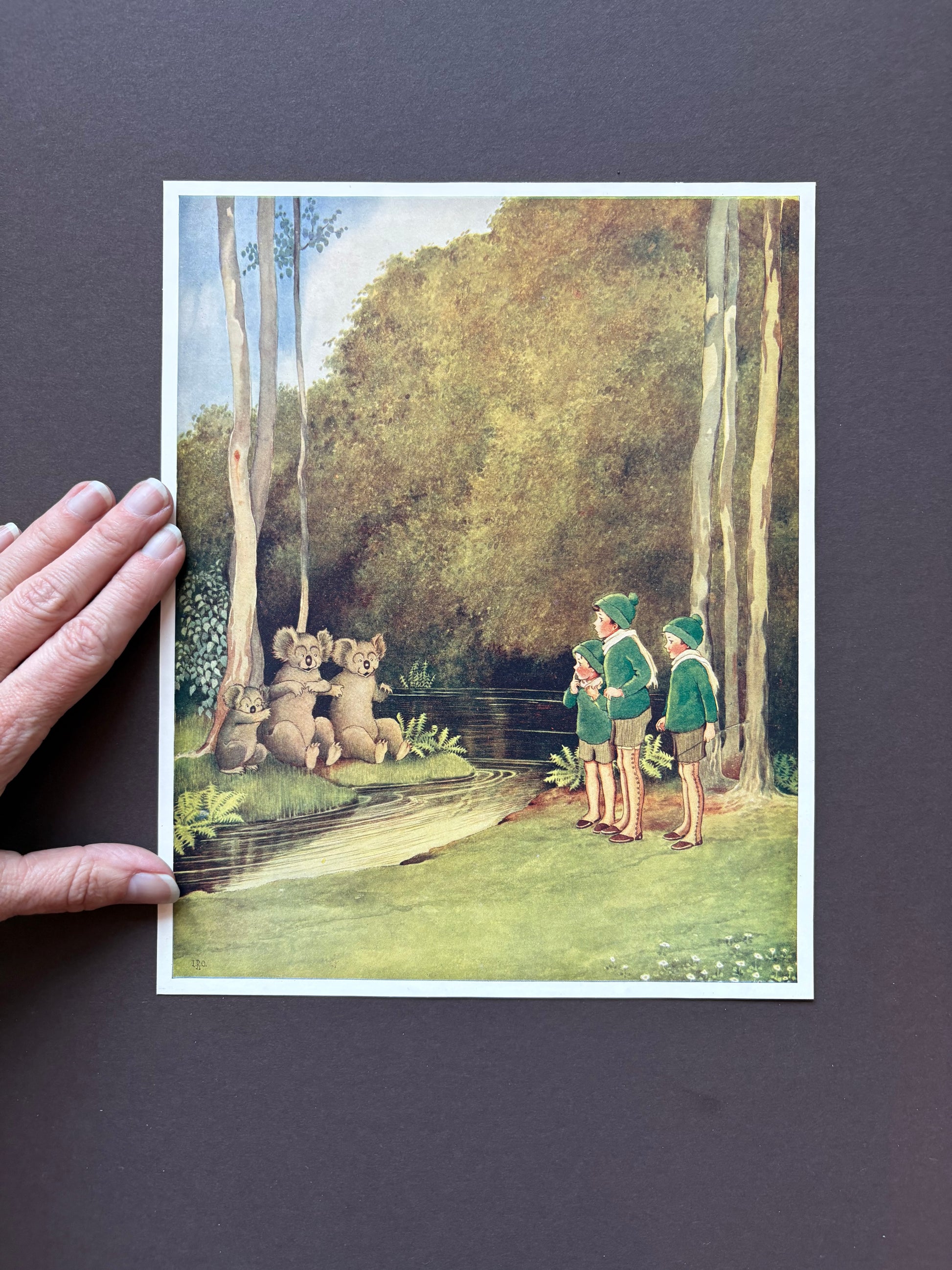 1931 Authentic antique Ida Rentoul Outhwaite print "Fairyland", 1st Edition UK, koalas, elves