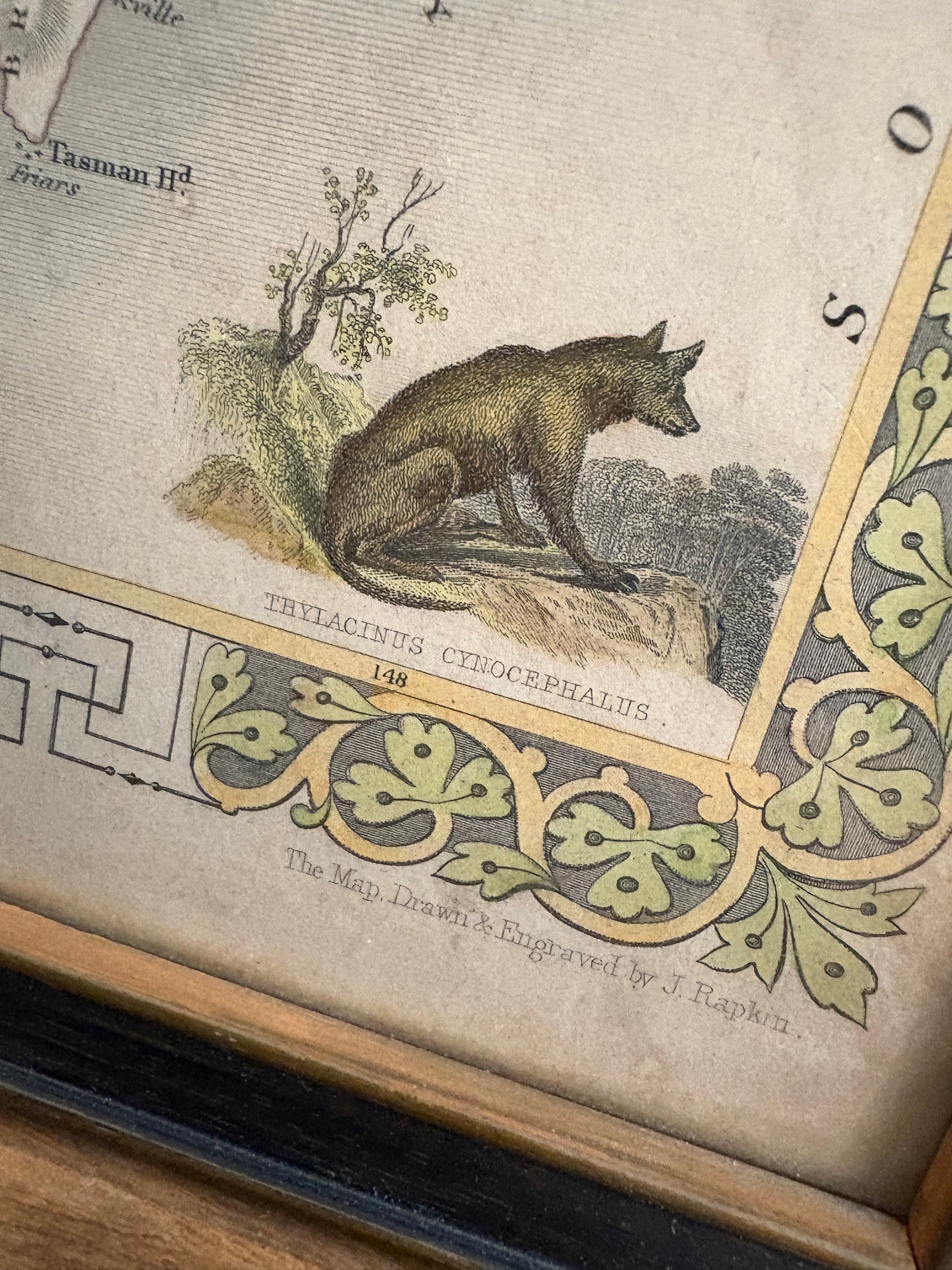 1850s antique map of Tasmania, engraved, hand coloured, Tallis, vintage framed art