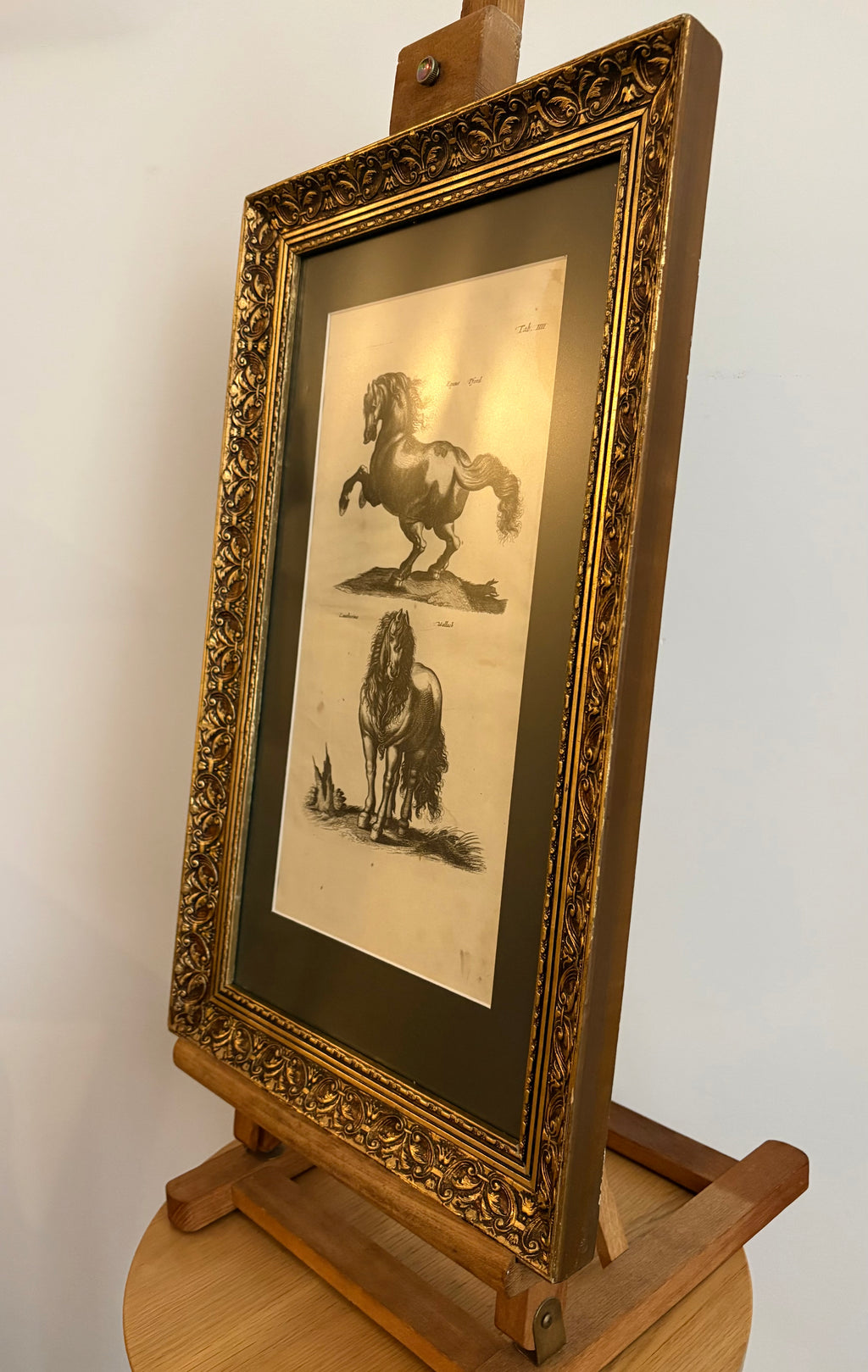 1657 Authentic antique engraving, horses, gilt framed artwork