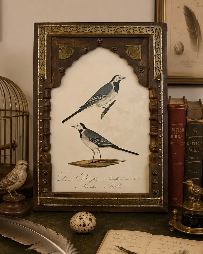 Circa 1800 engraving, hand coloured birds, antique, unique wooden frame