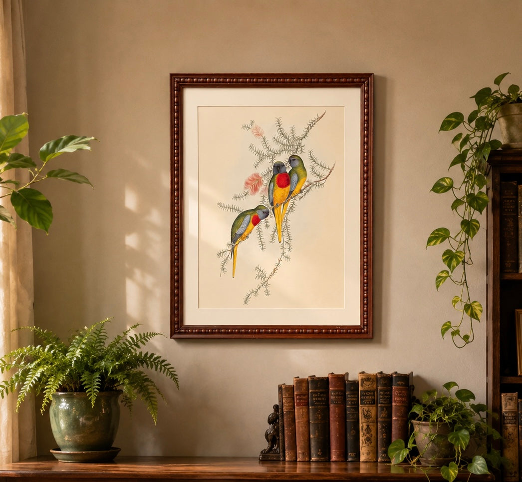 1989 Authentic limited Edition Gould print, Parakeet, vintage art