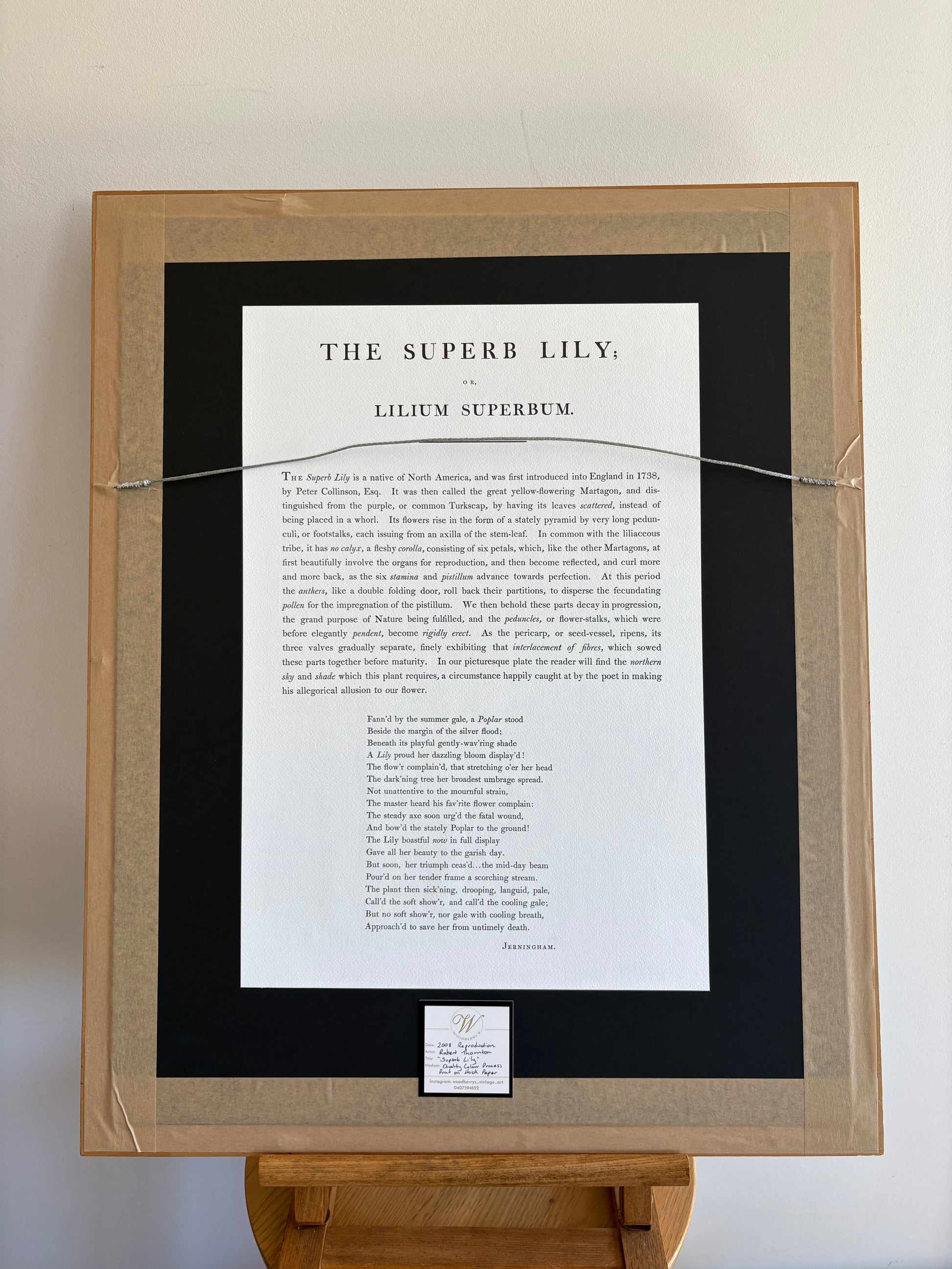 Framed large Lily print, Temple of Flora, Robert Thornton, quality framed art