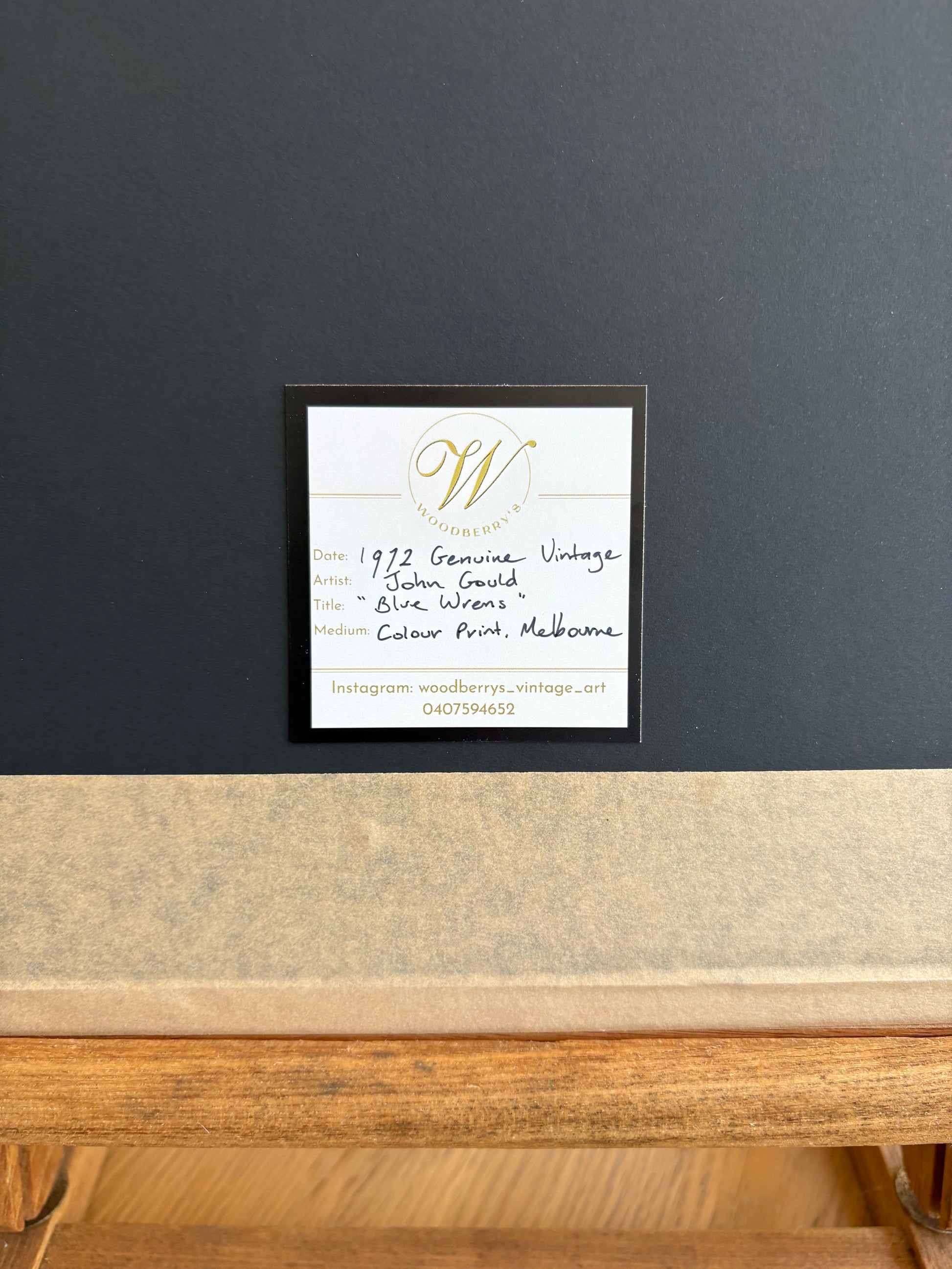 Gould "Birds of Australia" 1972 print of Blue Wrens, vintage framed art